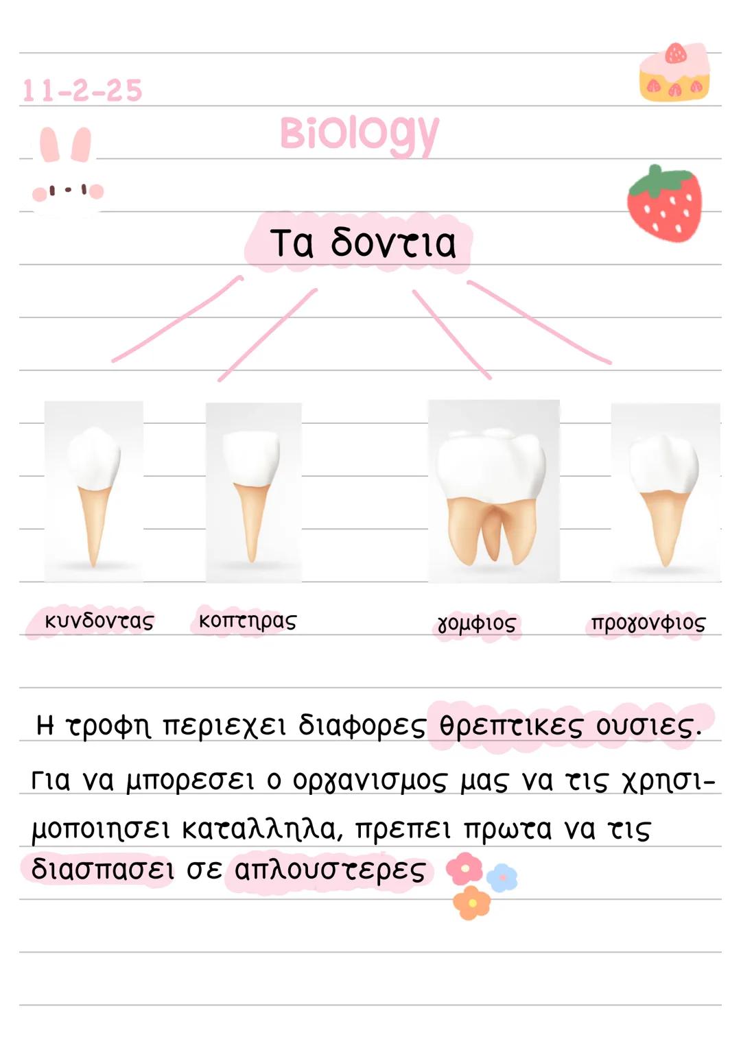 11-2-25
Biology
Τα δοντια
κυνδοντας κοπτηρας
γομφίος
προγονφιος
Η τροφη περιεχει διαφορες θρεπτικες ουσιες.
Για να μπορεσει ο οργανισμος μας