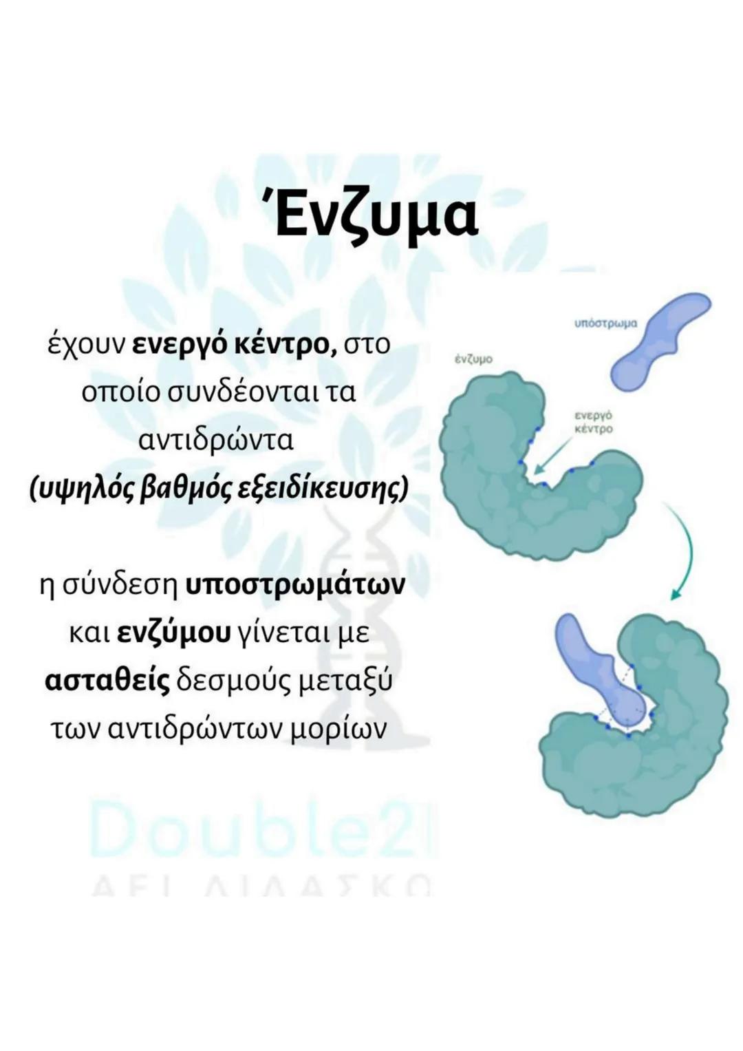 # Ένζυμα
δε συμμετέχουν στην
αντίδραση που καταλύουν
και παραμένουν
αναλλοίωτα
διακρίνονται σε
ενδοκυτταρικά και
εξωκυτταρικά
βρίσκονται