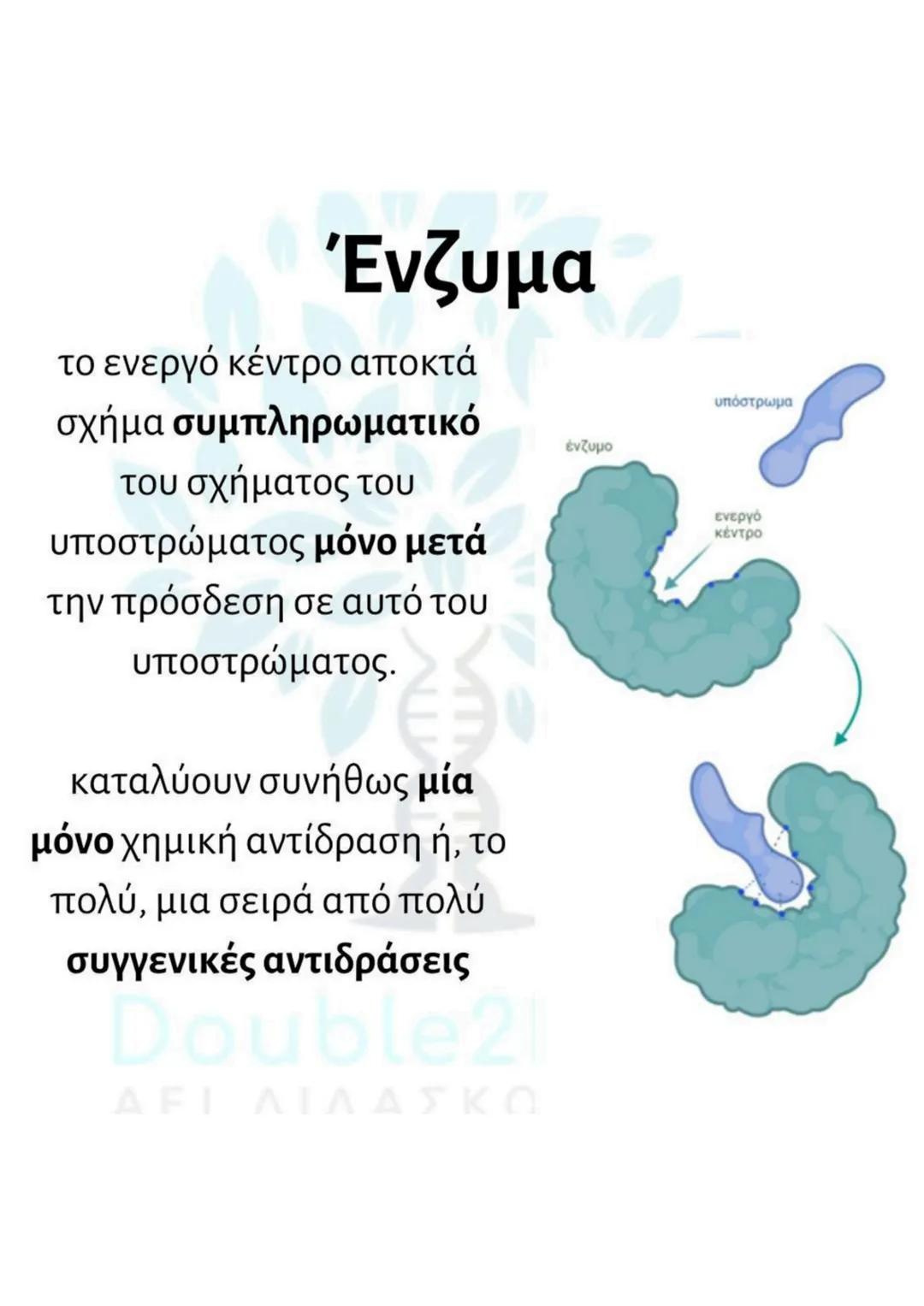 # Ένζυμα
δε συμμετέχουν στην
αντίδραση που καταλύουν
και παραμένουν
αναλλοίωτα
διακρίνονται σε
ενδοκυτταρικά και
εξωκυτταρικά
βρίσκονται