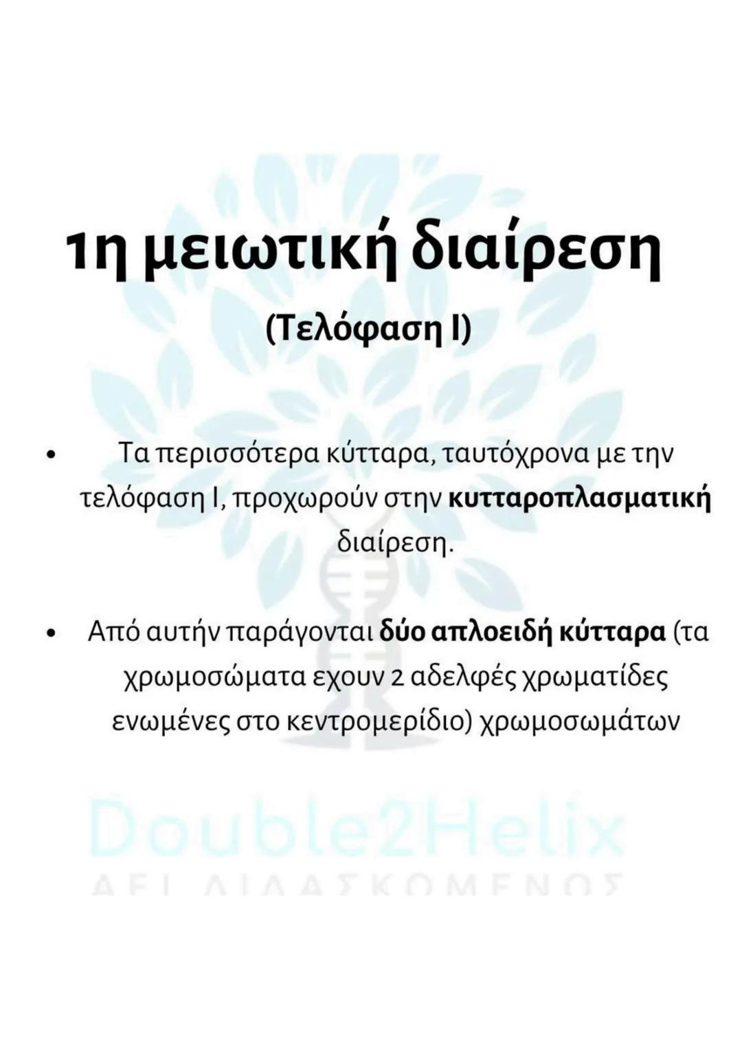 # Μείωση
- γίνεται σε μια ειδική κατηγορία διπλοειδών
κυττάρων (άωρα γεννητικά κύτταρα).
- μετά τον αυτοδιπλασιασμό του DNA γίνονται δύο
δ