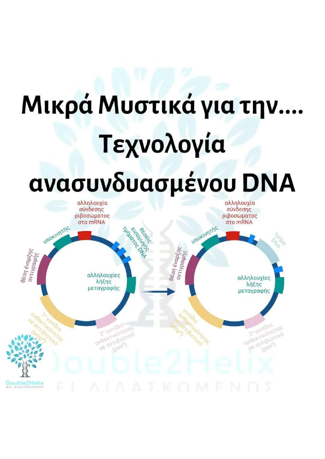 Επανάληψη 4 Κεφαλαίου