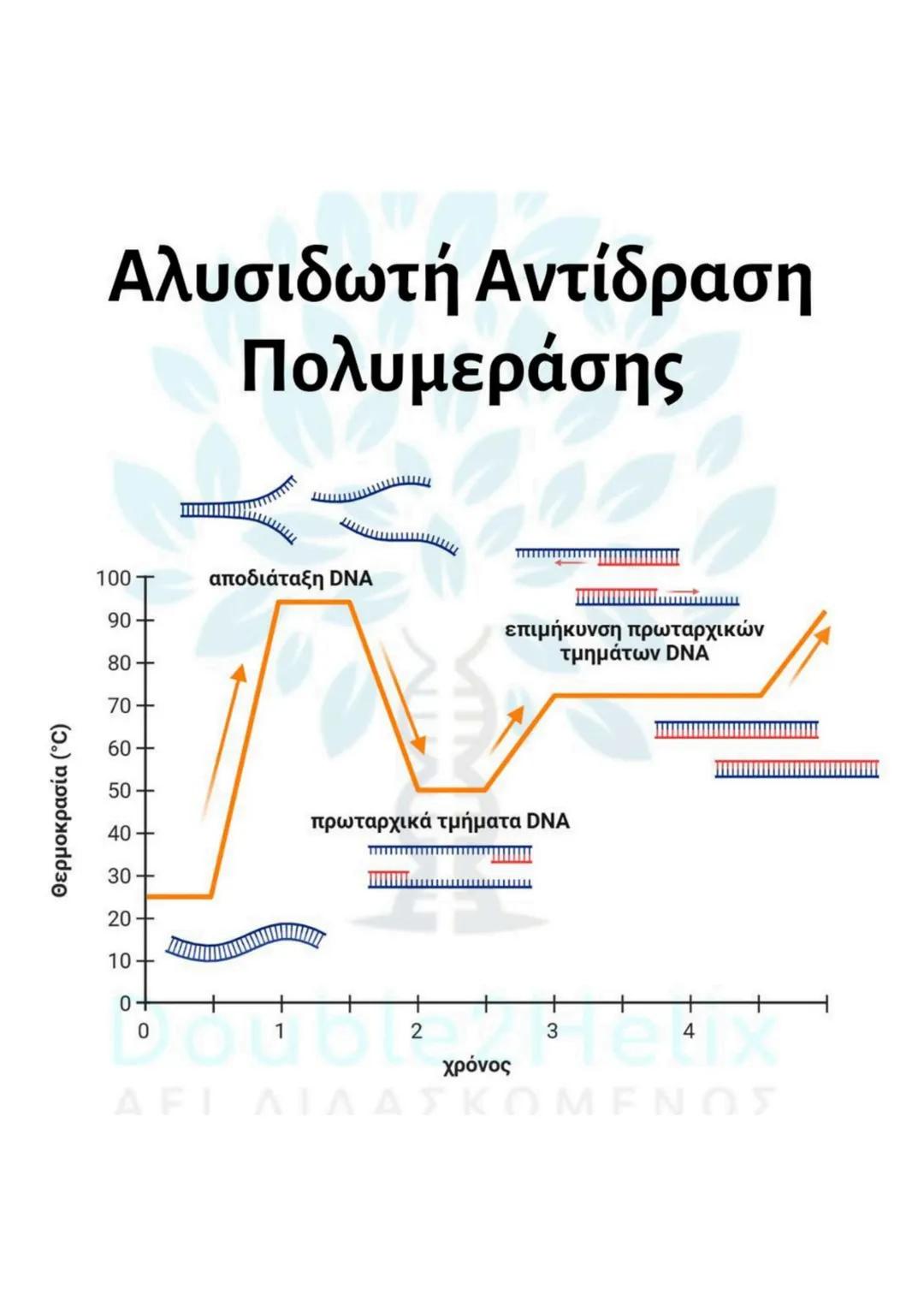 # Μεταφορά
ανασυνδυασμένου DNA
str
ενδιαφέροντος
DNA
μη
μετασχηματισμένο
βακτήριο
ΔΕΙ
amp<sup>r</sup>
Str
str
DNA
ενδιαφέροντος
μετασχη