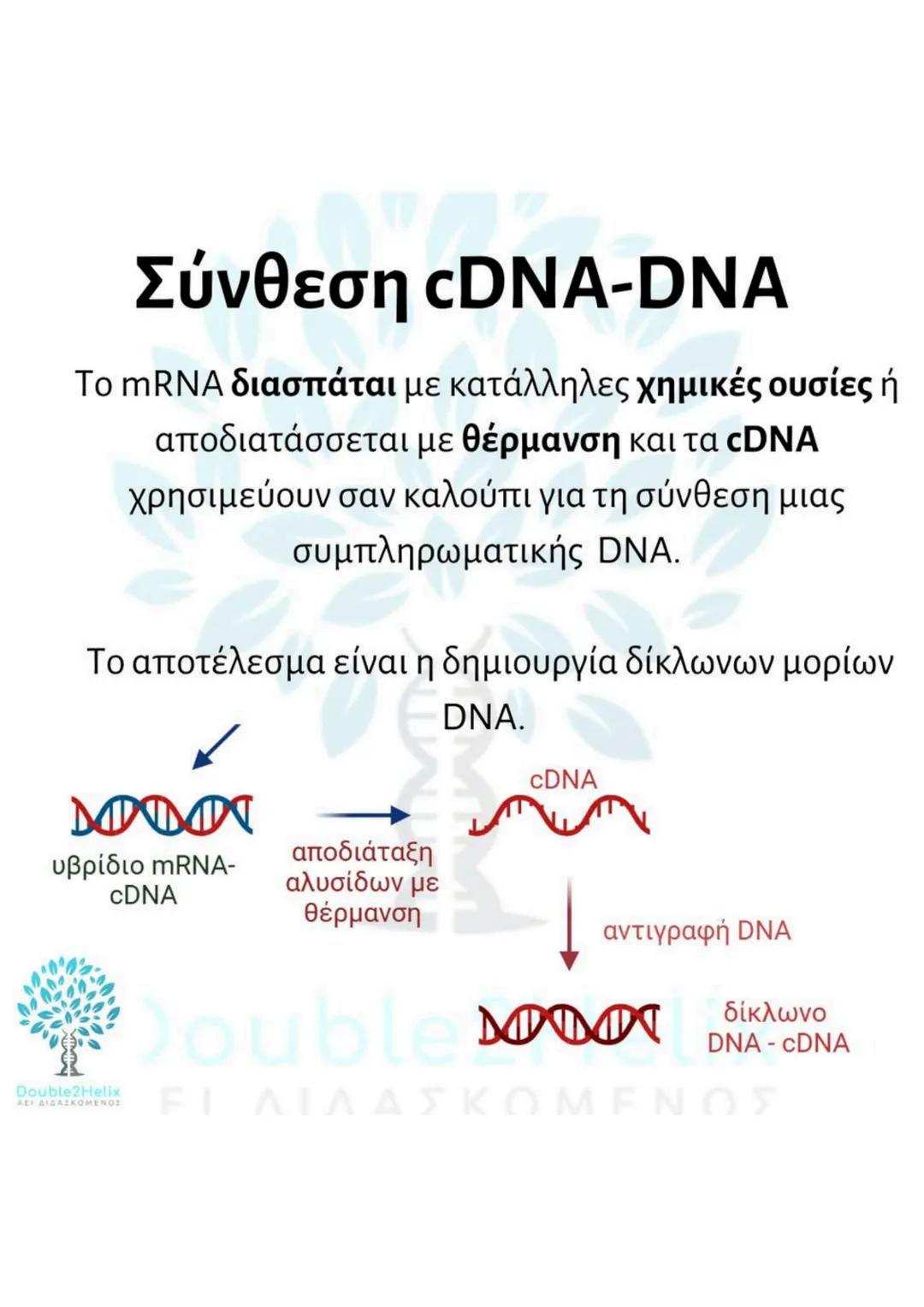 # Μεταφορά
ανασυνδυασμένου DNA
str
ενδιαφέροντος
DNA
μη
μετασχηματισμένο
βακτήριο
ΔΕΙ
amp<sup>r</sup>
Str
str
DNA
ενδιαφέροντος
μετασχη