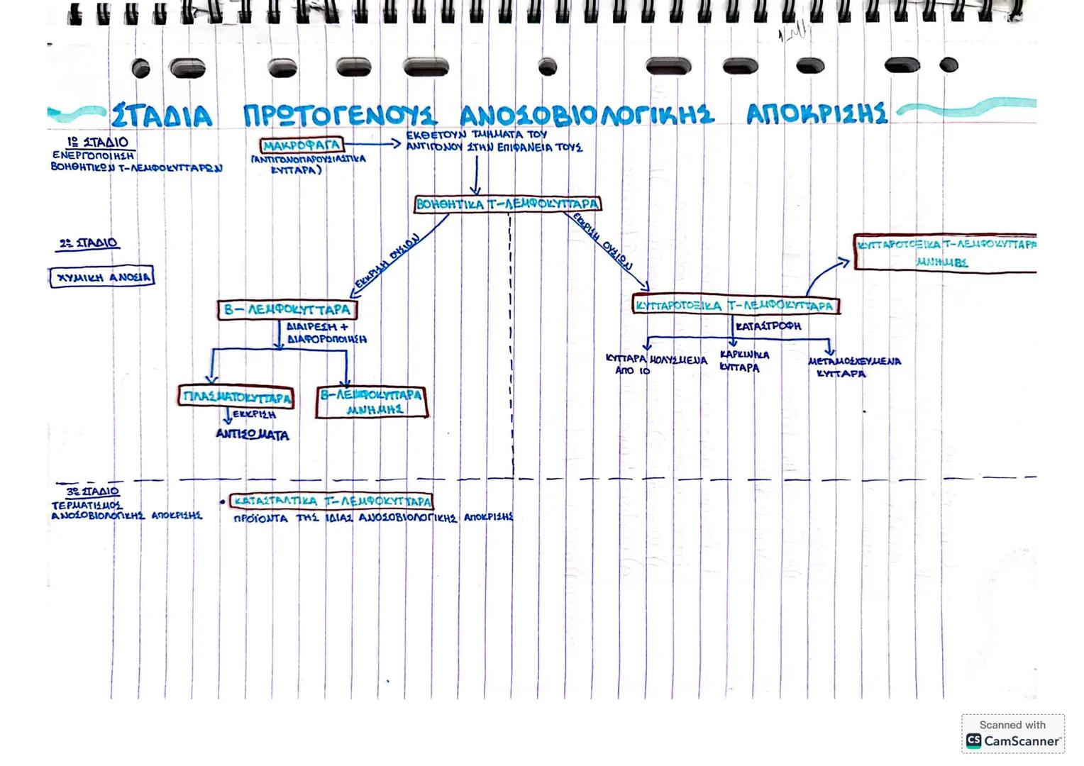 ΚΕΦΑΛΑΙΟ | ΑΝΘΡΩΠΟΣ ΚΑΙ ΥΓΕΙΑ
· ΟΜΟΙΟΣΤΑΤΙΚΟΣ ΜΗΧΑΝΙΣΜΟΣ ΡΥΘΜΙΣΗ ΤΗΣ
ΘΕΡΜΟΚΡΑΣΙΑΣ
↑ ΑΥΞΗΣΗ ΘΕΡΜΟΚΡΑΣΙΑΣ, ΠΕΡΙΒΑΛΛΟΝΤΟΣ,
↓
ΘΕΡΜΟΫΠΟΔΟΧΕΙΣ
ΚΕΝ