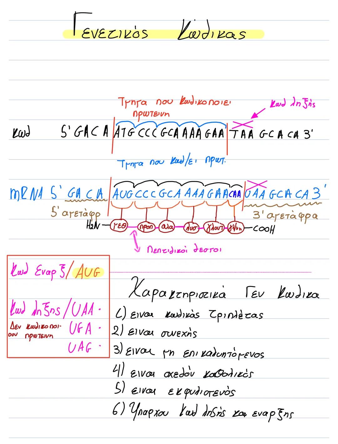 S'
Αντιγραφή DNA
3' ΘΕΑ
ACA G G C TAC 5'
TaTCCG ATG
TAAGCCAGTCAG
ATT CGGTCAG
3'
3
5'
3'
5'3'
53
53'
Ασυνεχής Αλ
3
5' 3' 5'
5'
3'
3
DNA δεσμά