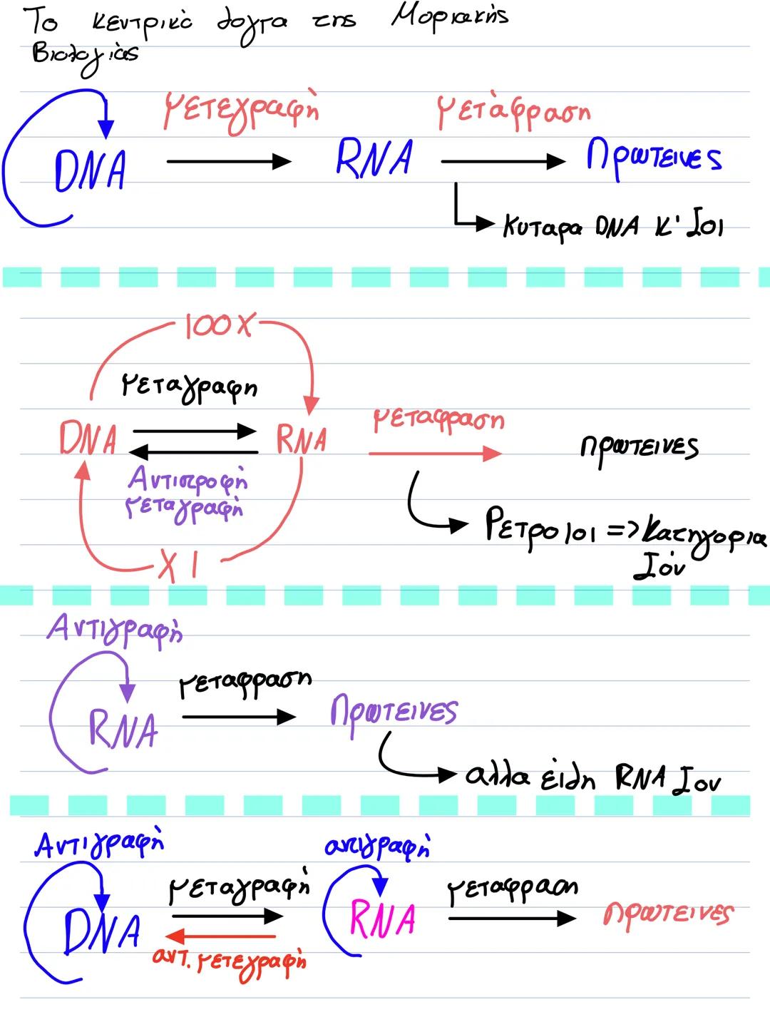 S'
Αντιγραφή DNA
3' ΘΕΑ
ACA G G C TAC 5'
TaTCCG ATG
TAAGCCAGTCAG
ATT CGGTCAG
3'
3
5'
3'
5'3'
53
53'
Ασυνεχής Αλ
3
5' 3' 5'
5'
3'
3
DNA δεσμά