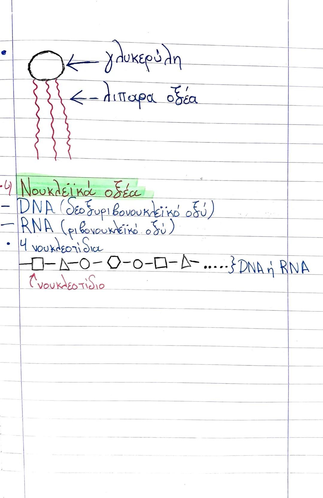 22/9/21
Κεφάλαιο 2: Τα μόρια της ζώης
Χημικές ενώσεις:
1) Οργανικές : αποτέλουνται από ατόμα άνθρακα (6)
2) Ανόργανες : δεν αποτέλουνται από