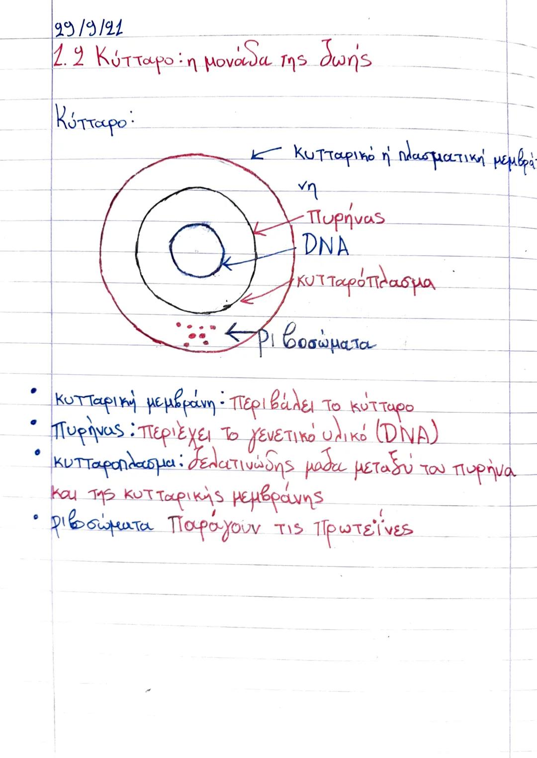 1.2.Κύτταρο : η μονάδα της ζωής