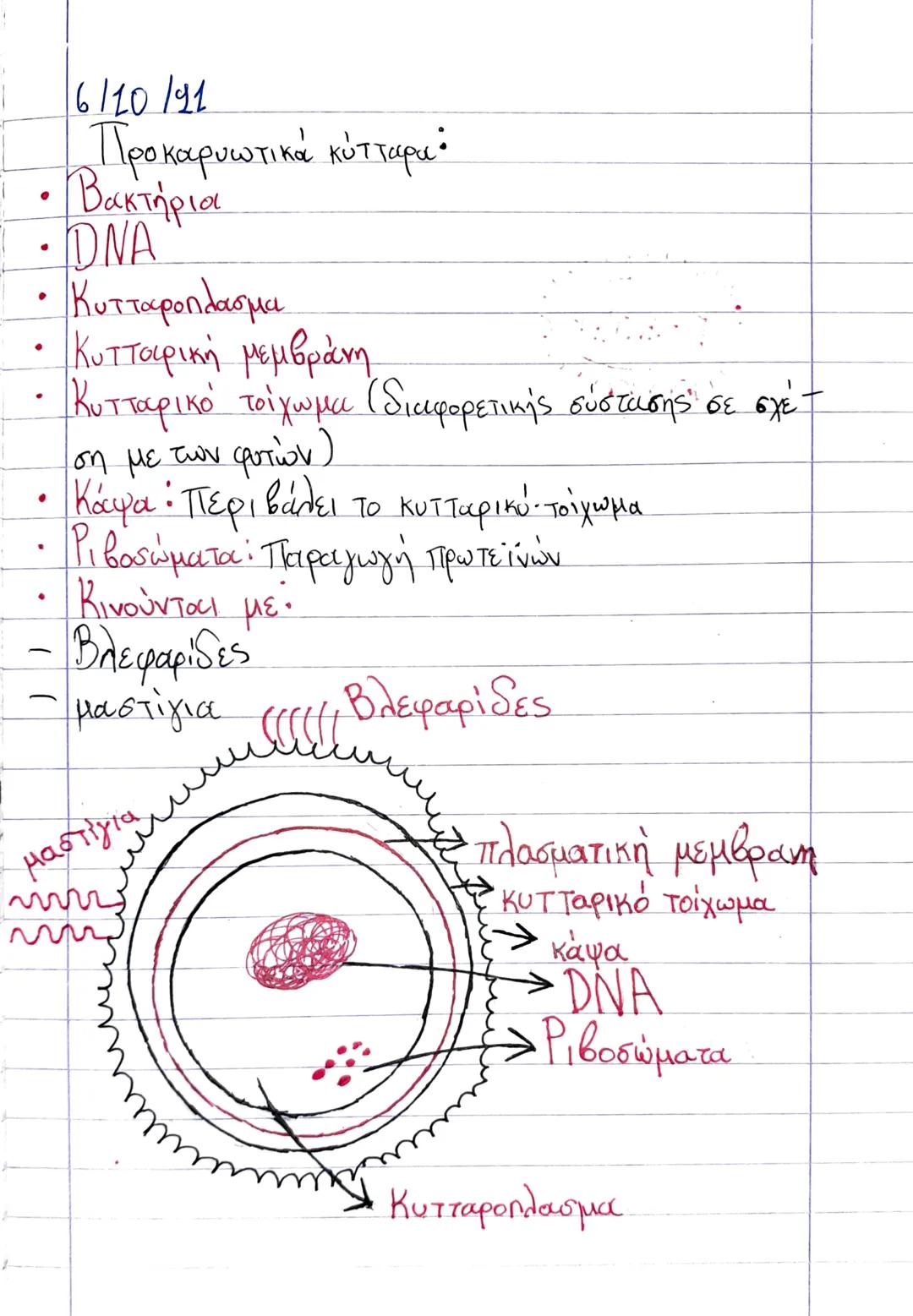 0
29/9/21
2.2 Κύτταρο: η μονάδα της ζωής
Κύτταρο:
✓ κυτταρικό ή πλασματική μεμβρά
νη
-Πυρήνας
DNA
κυτταρόπλασμα
Εριβοσώματα
• κυτταρική μεμβ