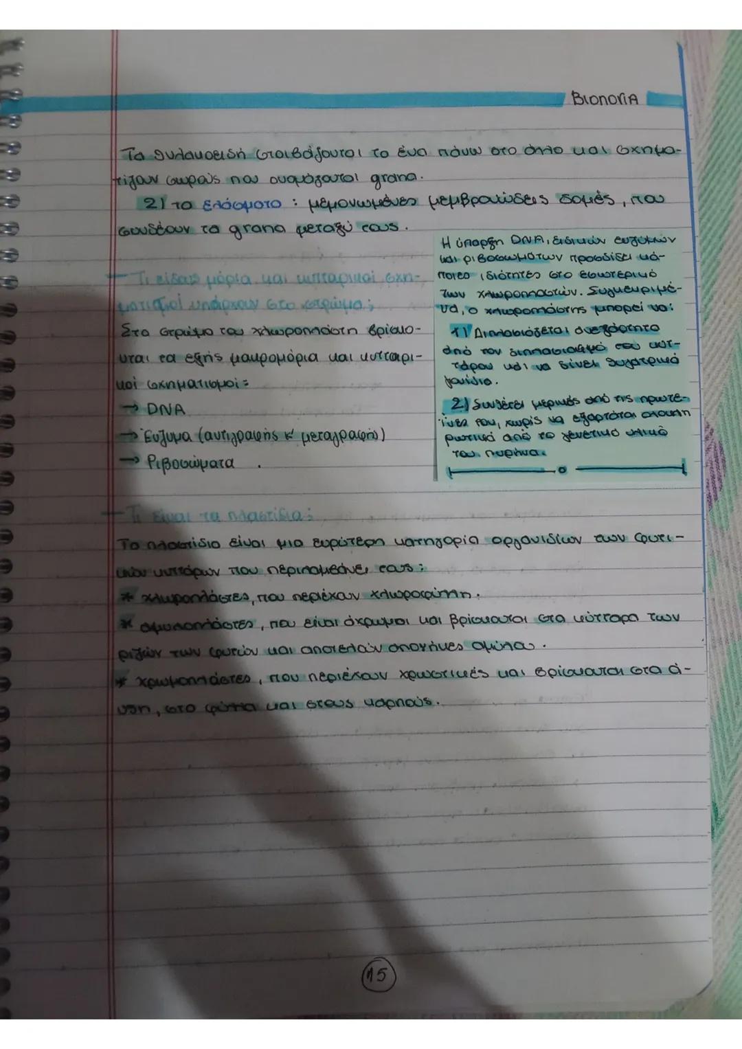 Bionoria
ΧΛΩΡΟΠΛΑΣ765
- Ποιος είναι ο ρόλος των ενεργεί
σκών οργανιδίων, χλωρο
πλοιπών α' μιτοχονδρίων
Οι χλωροπλάστες και τα μιτο
Granum
χό