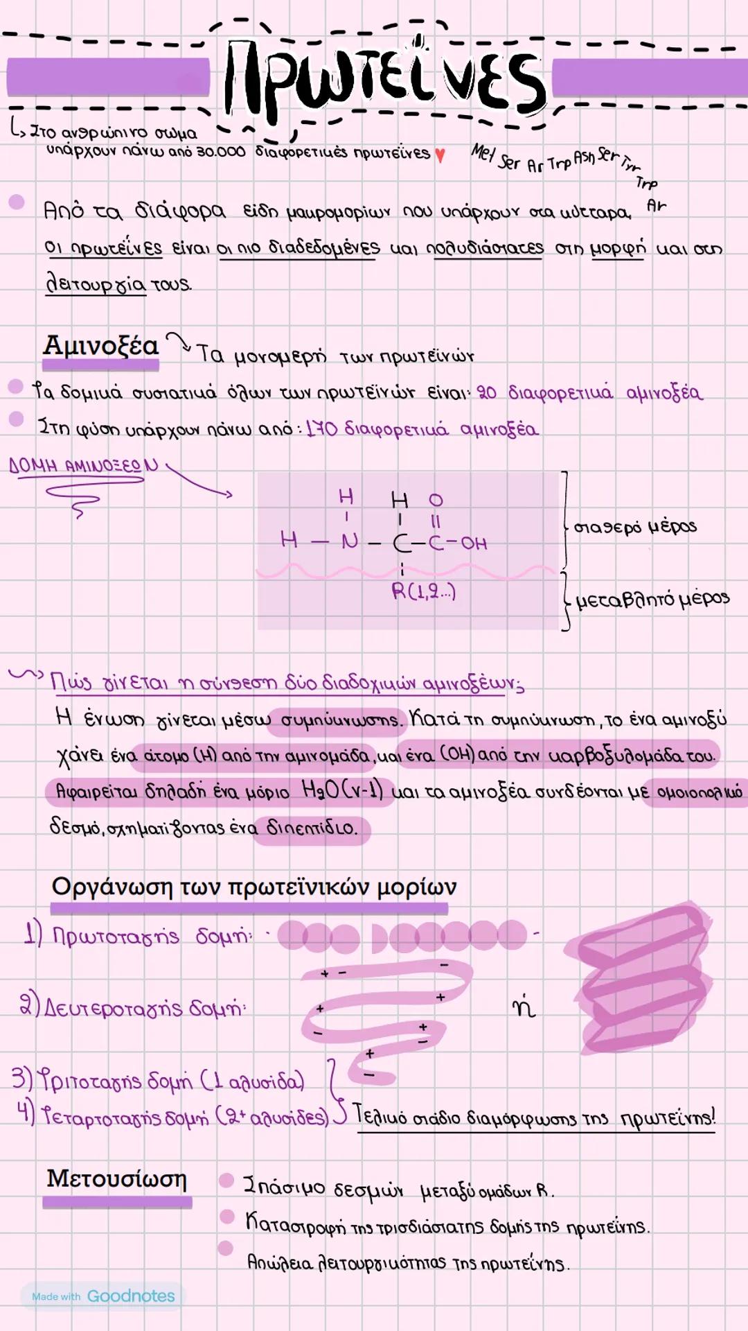Πρωτεΐνες 💜