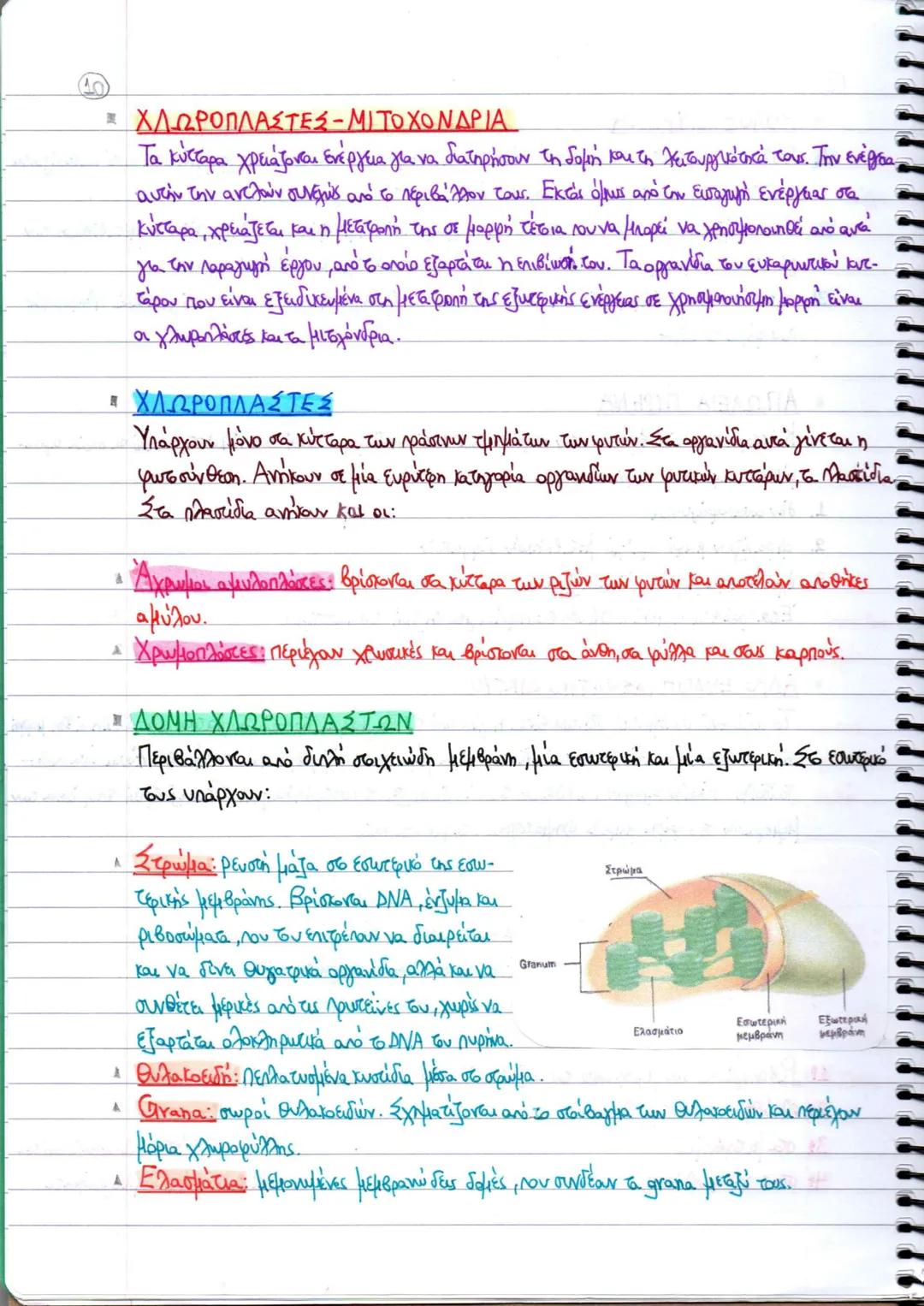 SUBJECT • ΘΕΜΑ
ΒΙΟΛΟΓΙΑ
ΤΕΥΧΟΣ Α'
ΚΕΦΑΛΑΙΑ
1-4
ΒΙΟΛΟΓΙΑ
ΤΕΥΧΟΣ Α΄
Γ ΓΕΝΙΚΟΥ ΛΥΚΕΙΟΥ
Ομάδας Προσανατολισμού Θετικών Σπουδών & Σπουδών Υγείας