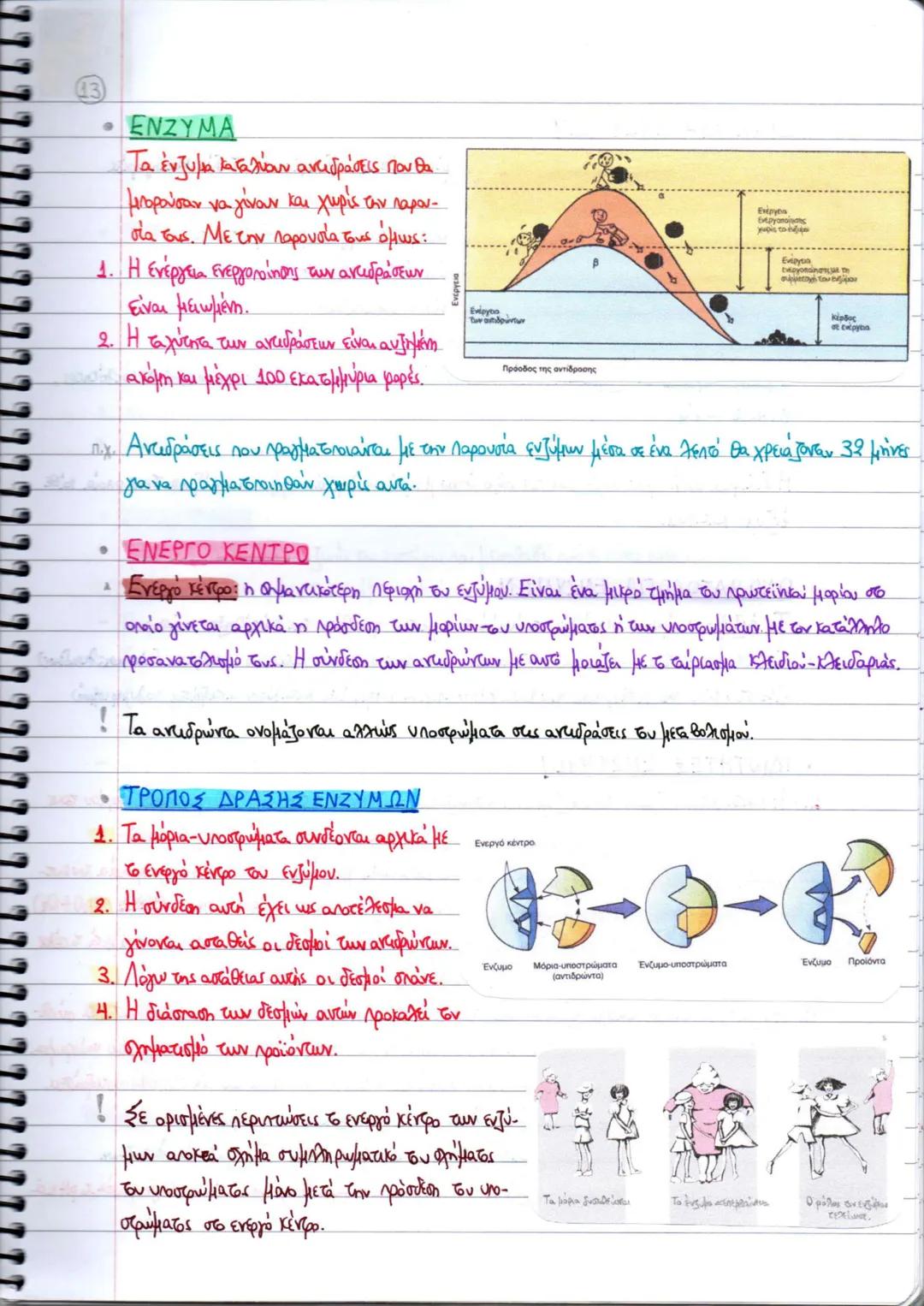 SUBJECT • ΘΕΜΑ
ΒΙΟΛΟΓΙΑ
ΤΕΥΧΟΣ Α'
ΚΕΦΑΛΑΙΑ
1-4
ΒΙΟΛΟΓΙΑ
ΤΕΥΧΟΣ Α΄
Γ ΓΕΝΙΚΟΥ ΛΥΚΕΙΟΥ
Ομάδας Προσανατολισμού Θετικών Σπουδών & Σπουδών Υγείας