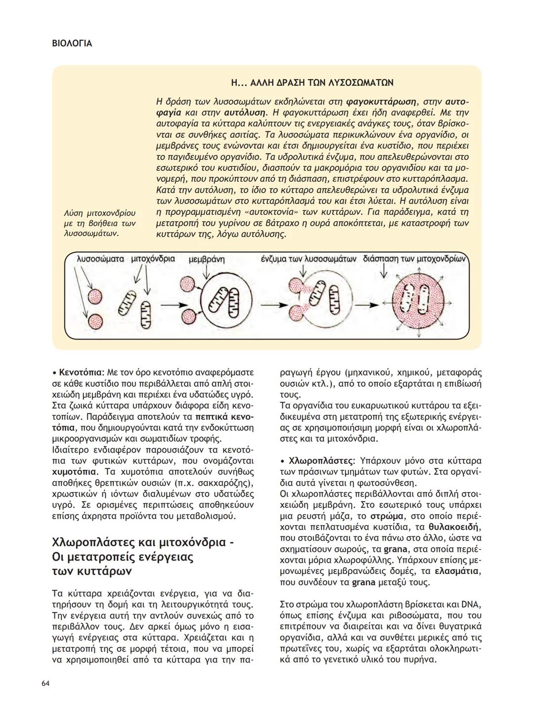 ΥΠΟΥΡΓΕΙΟ ΠΑΙΔΕΙΑΣ ΚΑΙ ΘΡΗΣΚΕΥΜΑΤΩΝ
ΙΝΣΤΙΤΟΥΤΟ ΕΚΠΑΙΔΕΥΤΙΚΗΣ ΠΟΛΙΤΙΚΗΣ
ΒΙΟΛΟΓΙΑ
ΤΕΥΧΟΣ Α΄
Γ΄ ΓΕΝΙΚΟΥ ΛΥΚΕΙΟΥ
Ομάδας Προσανατολισμού Θετικ