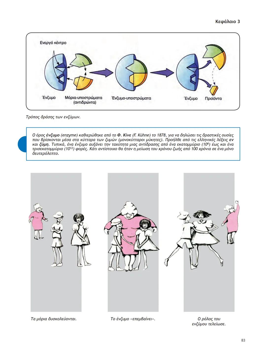 ΥΠΟΥΡΓΕΙΟ ΠΑΙΔΕΙΑΣ ΚΑΙ ΘΡΗΣΚΕΥΜΑΤΩΝ
ΙΝΣΤΙΤΟΥΤΟ ΕΚΠΑΙΔΕΥΤΙΚΗΣ ΠΟΛΙΤΙΚΗΣ
ΒΙΟΛΟΓΙΑ
ΤΕΥΧΟΣ Α΄
Γ΄ ΓΕΝΙΚΟΥ ΛΥΚΕΙΟΥ
Ομάδας Προσανατολισμού Θετικ