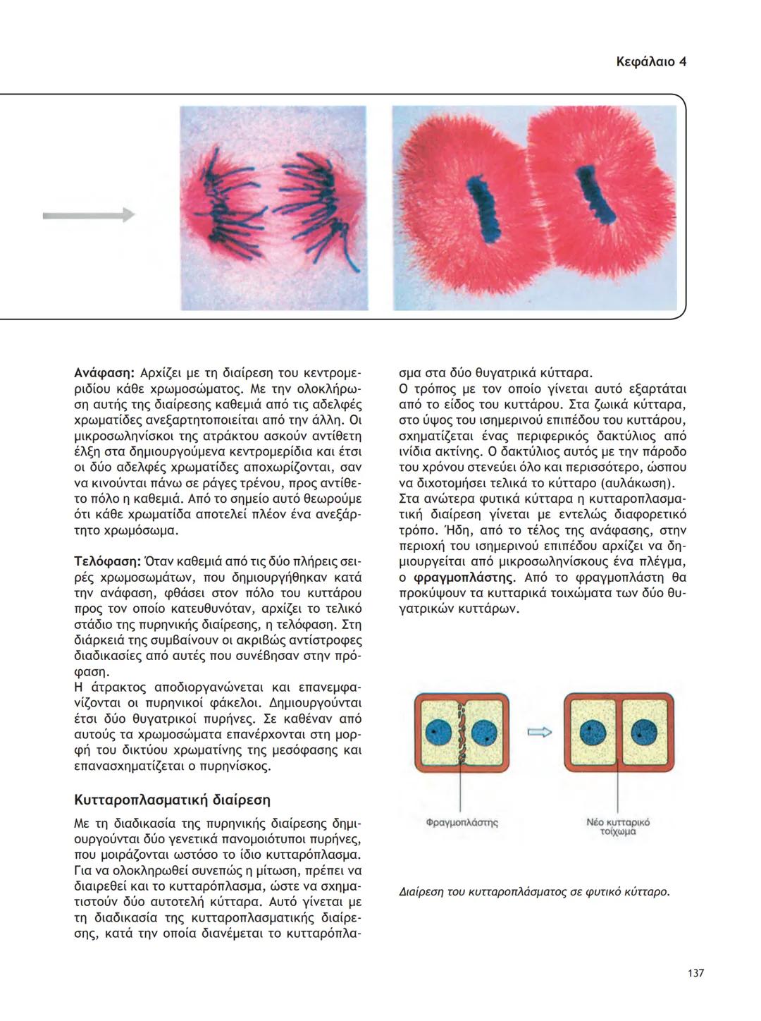 ΥΠΟΥΡΓΕΙΟ ΠΑΙΔΕΙΑΣ ΚΑΙ ΘΡΗΣΚΕΥΜΑΤΩΝ
ΙΝΣΤΙΤΟΥΤΟ ΕΚΠΑΙΔΕΥΤΙΚΗΣ ΠΟΛΙΤΙΚΗΣ
ΒΙΟΛΟΓΙΑ
ΤΕΥΧΟΣ Α΄
Γ΄ ΓΕΝΙΚΟΥ ΛΥΚΕΙΟΥ
Ομάδας Προσανατολισμού Θετικ