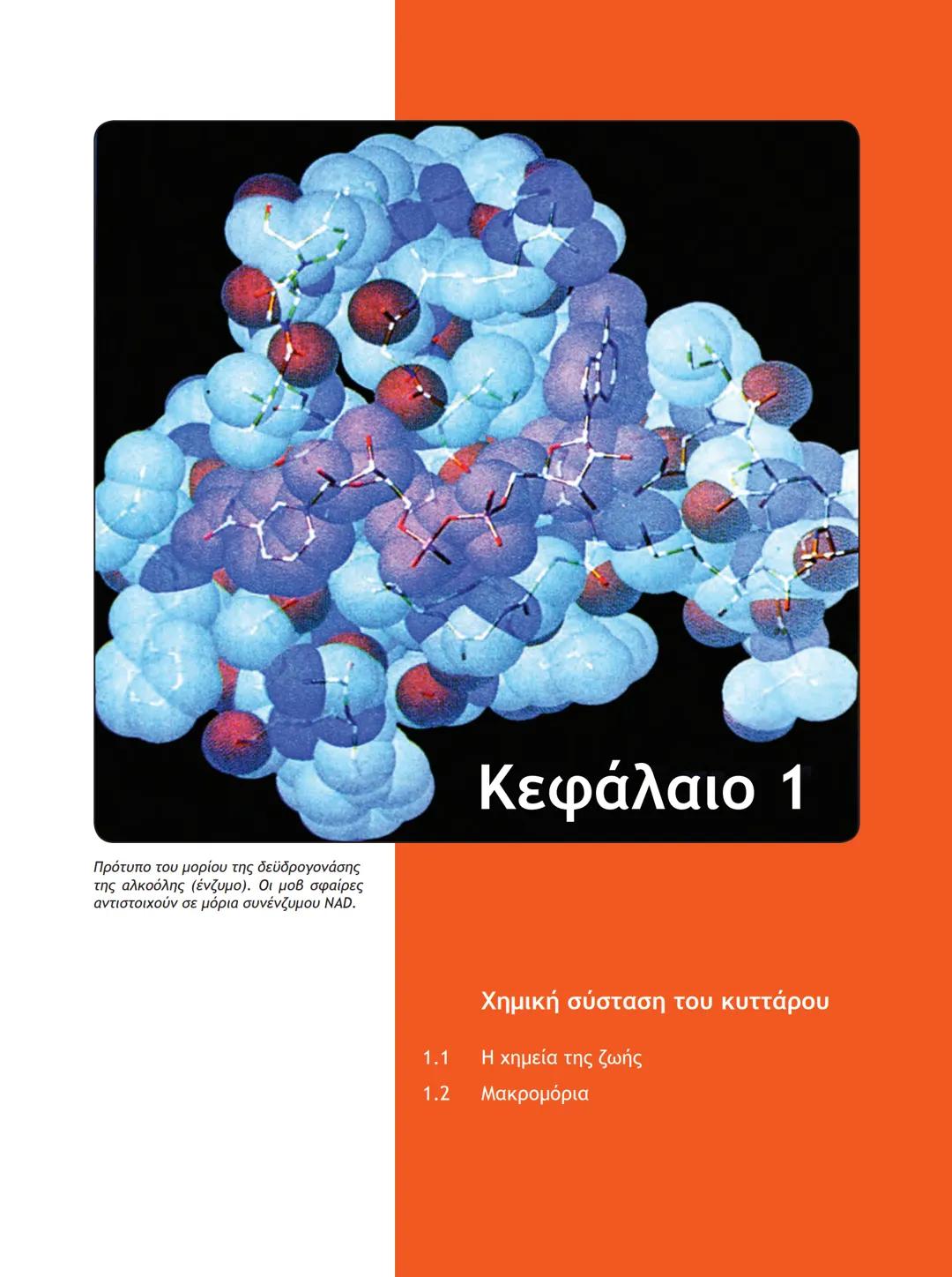 ΥΠΟΥΡΓΕΙΟ ΠΑΙΔΕΙΑΣ ΚΑΙ ΘΡΗΣΚΕΥΜΑΤΩΝ
ΙΝΣΤΙΤΟΥΤΟ ΕΚΠΑΙΔΕΥΤΙΚΗΣ ΠΟΛΙΤΙΚΗΣ
ΒΙΟΛΟΓΙΑ
ΤΕΥΧΟΣ Α΄
Γ΄ ΓΕΝΙΚΟΥ ΛΥΚΕΙΟΥ
Ομάδας Προσανατολισμού Θετικ