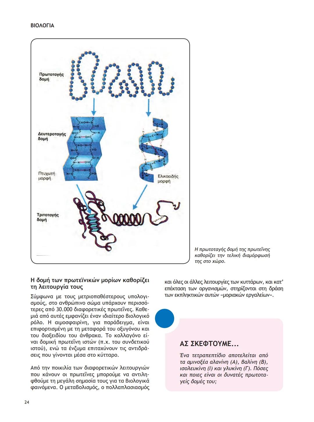 ΥΠΟΥΡΓΕΙΟ ΠΑΙΔΕΙΑΣ ΚΑΙ ΘΡΗΣΚΕΥΜΑΤΩΝ
ΙΝΣΤΙΤΟΥΤΟ ΕΚΠΑΙΔΕΥΤΙΚΗΣ ΠΟΛΙΤΙΚΗΣ
ΒΙΟΛΟΓΙΑ
ΤΕΥΧΟΣ Α΄
Γ΄ ΓΕΝΙΚΟΥ ΛΥΚΕΙΟΥ
Ομάδας Προσανατολισμού Θετικ