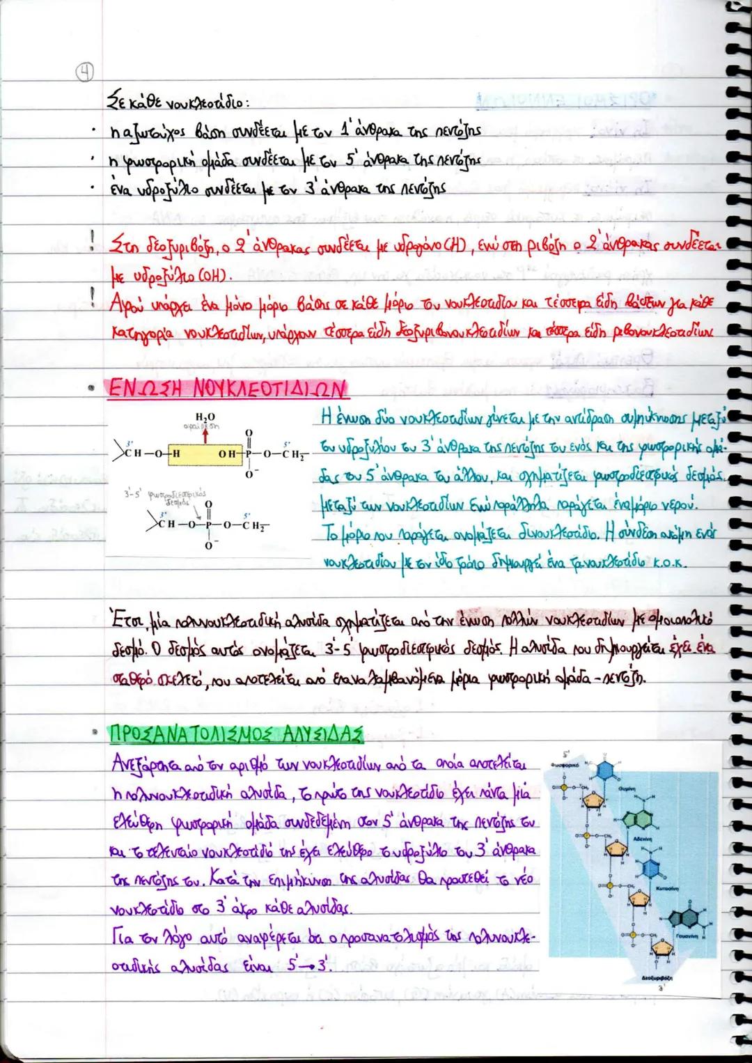 - SUBJECT ΘΕΜΑ
ΒΙΟΛΟΓΙΑ
ΤΕΥΧΟΣ Β΄
ΚΕΦΑΛΑΙΑ
1-2.4-9
Βιολογία
Τεύχος Β΄
Γ΄ ΓΕΝΙΚΟΥ ΛΥΚΕΙΟΥ
Ομάδας Προσανατολισμού Θετικών Σπουδών & Σπο