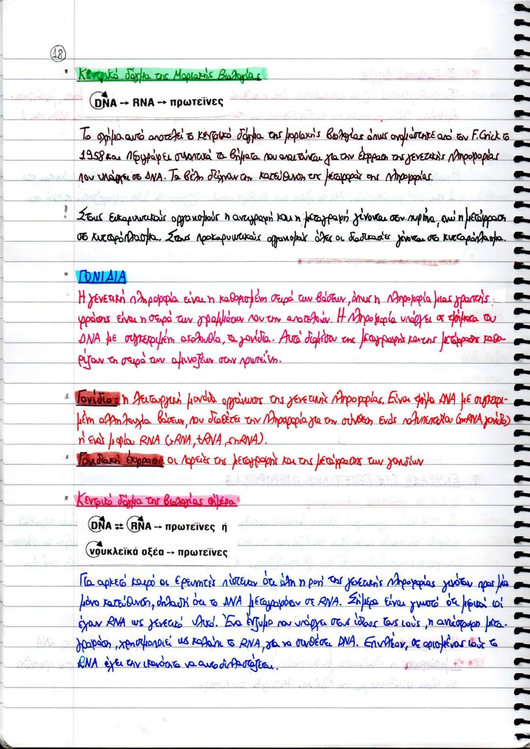 ΚΕΦΑΛΑΙΟ 2
ΑΝΤΙΓΡΑΦΗ, ΕΚΦΡΑΣΗ ΚΑΙ ΡΥΘΜΙΣΗ ΤΗΣ ΓΕΝΕΤΙΚΗΣ ΠΛΗΡΟΦΟΡΙΑΣ
4. ΑΝΤΙΓΡΑΦΗ ΤΟΥ ΔΝΑ
* Ημισυντηριστικός μηχανισμός διπλασιασμού ΟΝΑ