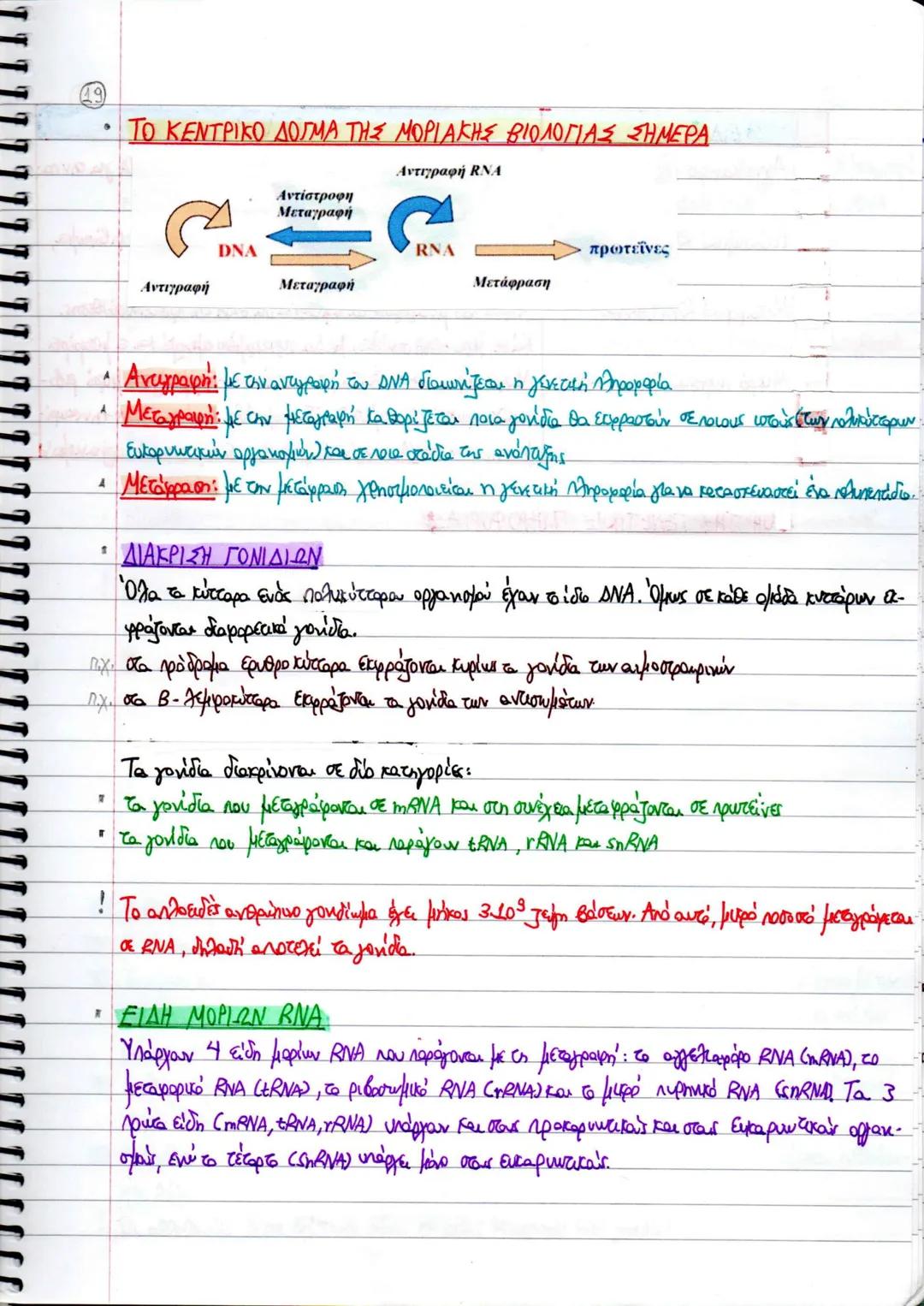 ΚΕΦΑΛΑΙΟ 2
ΑΝΤΙΓΡΑΦΗ, ΕΚΦΡΑΣΗ ΚΑΙ ΡΥΘΜΙΣΗ ΤΗΣ ΓΕΝΕΤΙΚΗΣ ΠΛΗΡΟΦΟΡΙΑΣ
4. ΑΝΤΙΓΡΑΦΗ ΤΟΥ ΔΝΑ
* Ημισυντηριστικός μηχανισμός διπλασιασμού ΟΝΑ