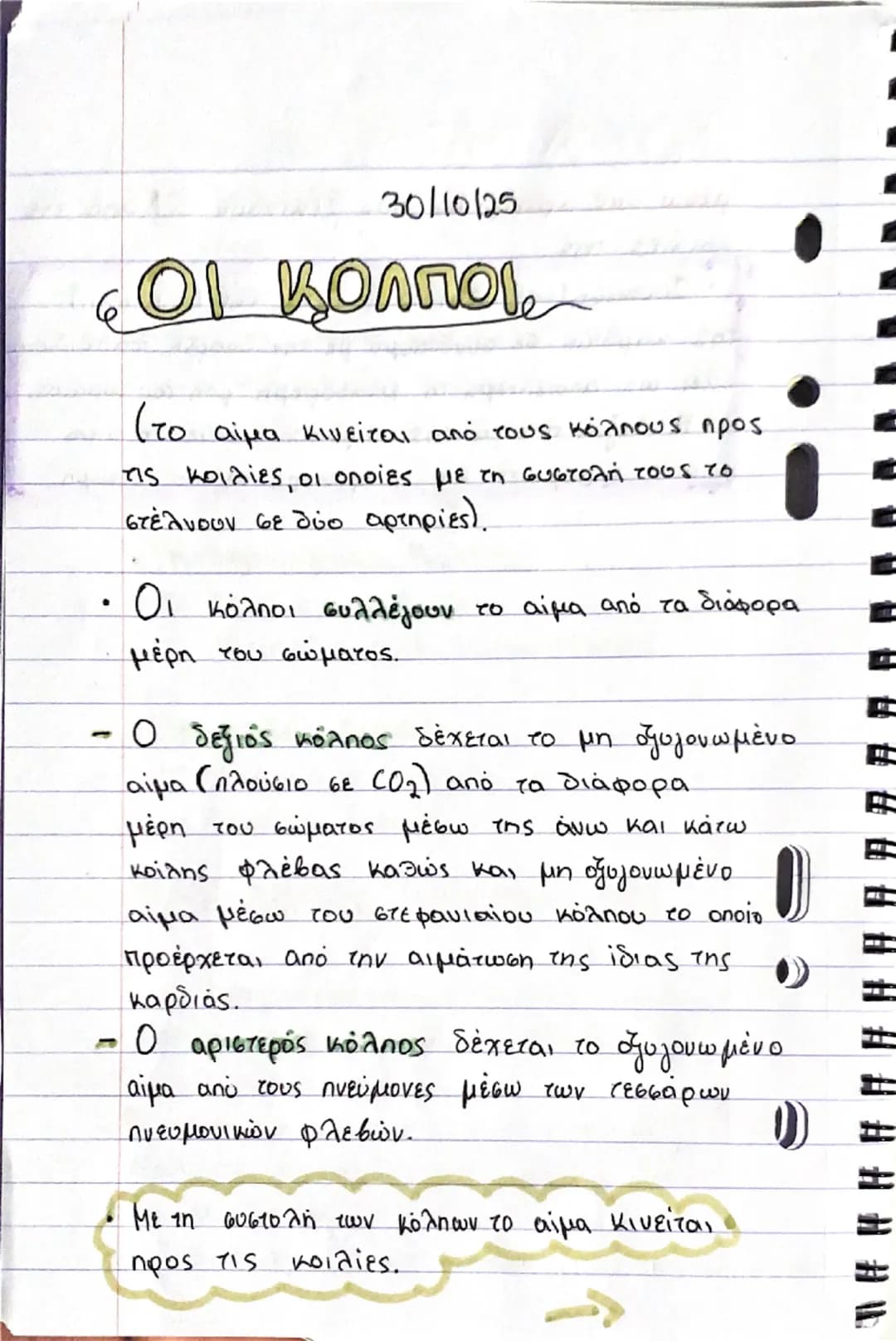# ΚΑΡΔΙΑ
## Θέση και περιγραφή
- Η καρδιά είναι ένα όργανο μυώδες (αποτελείται από μυϊκό ιστό, το μυοκάρδιο) και κοίλο και έχει σχήμα τριγ