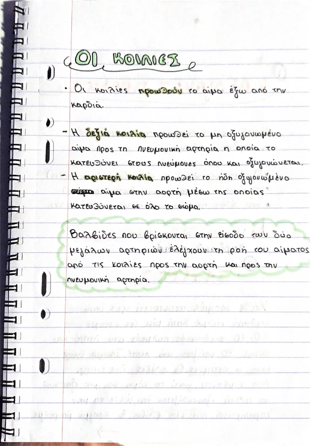 # ΚΑΡΔΙΑ
## Θέση και περιγραφή
- Η καρδιά είναι ένα όργανο μυώδες (αποτελείται από μυϊκό ιστό, το μυοκάρδιο) και κοίλο και έχει σχήμα τριγ