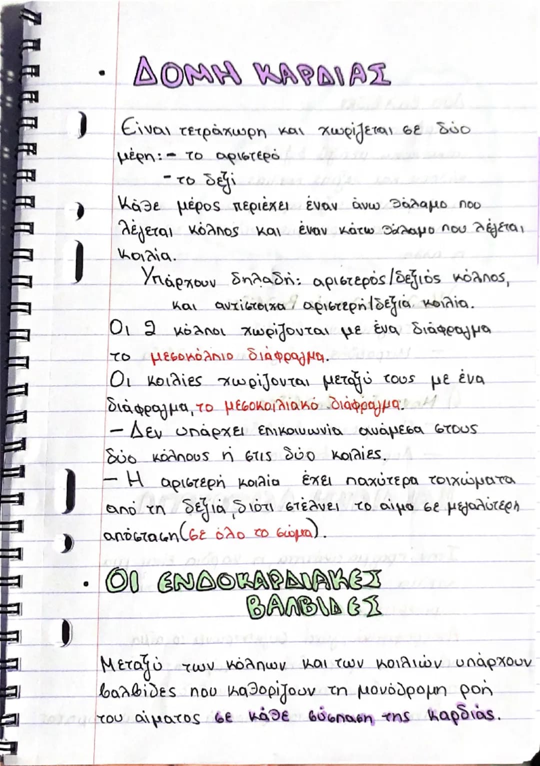 # ΚΑΡΔΙΑ
## Θέση και περιγραφή
- Η καρδιά είναι ένα όργανο μυώδες (αποτελείται από μυϊκό ιστό, το μυοκάρδιο) και κοίλο και έχει σχήμα τριγ