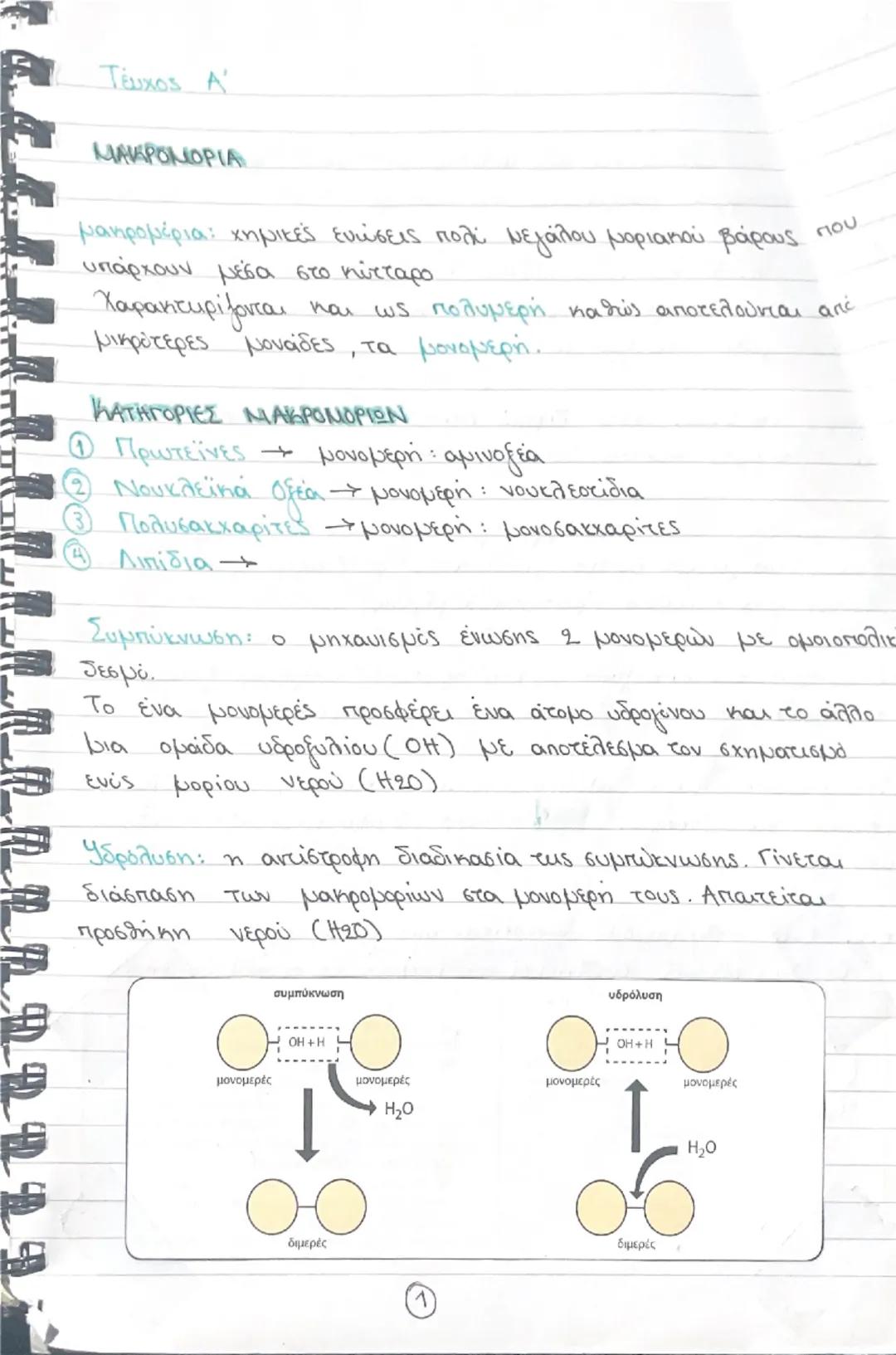 Τεύχος Α βιολογία Γ λυκείου Μακρομόρια/πρωτεΐνες/αμινοξέα