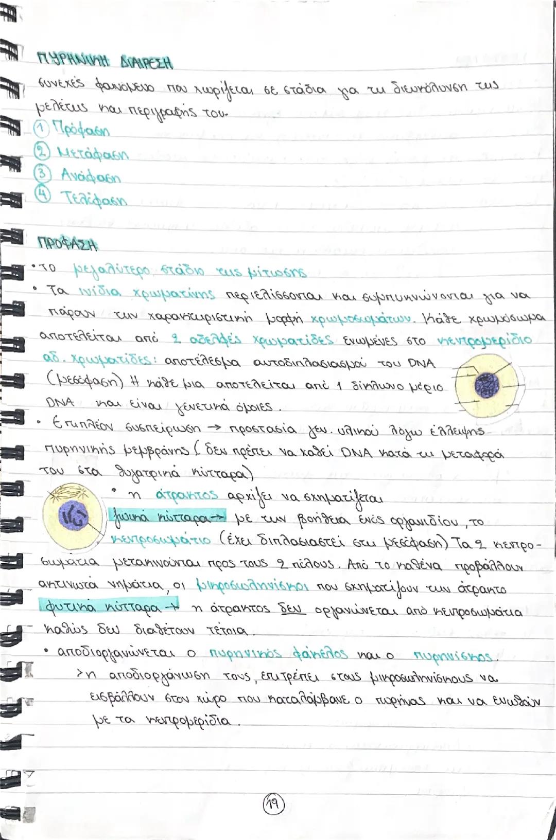 Μίτωση - βιολογία Γ λυκείου τεύχος Α