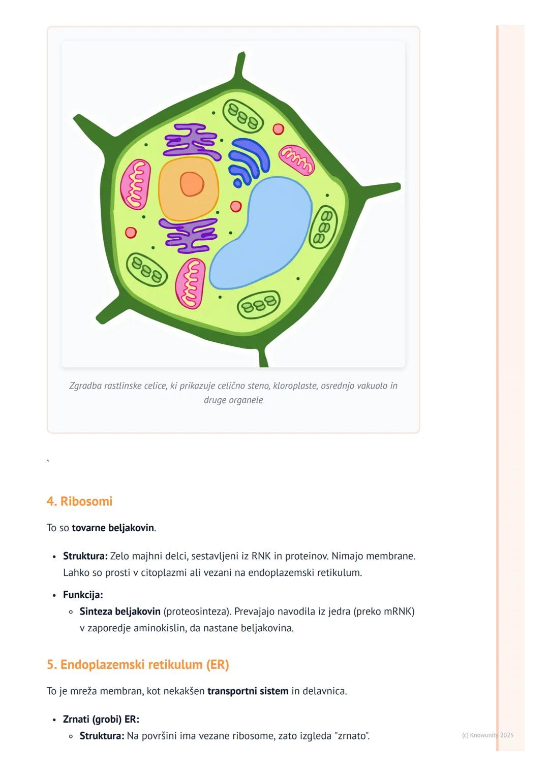 # Celični organeli in njihove funkcije
Uvod v celične organele
Celični organeli so kot majhni "organi" znotraj celice. Vsak ima svojo spec