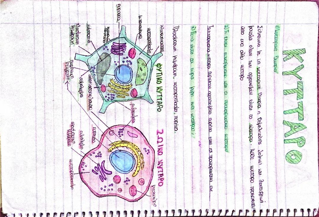 ΒΙΟΛΟΓΙΑ Β ΓΥΜΝΑΣΙΟΥ. ΚΥΤΤΑΡΟ
