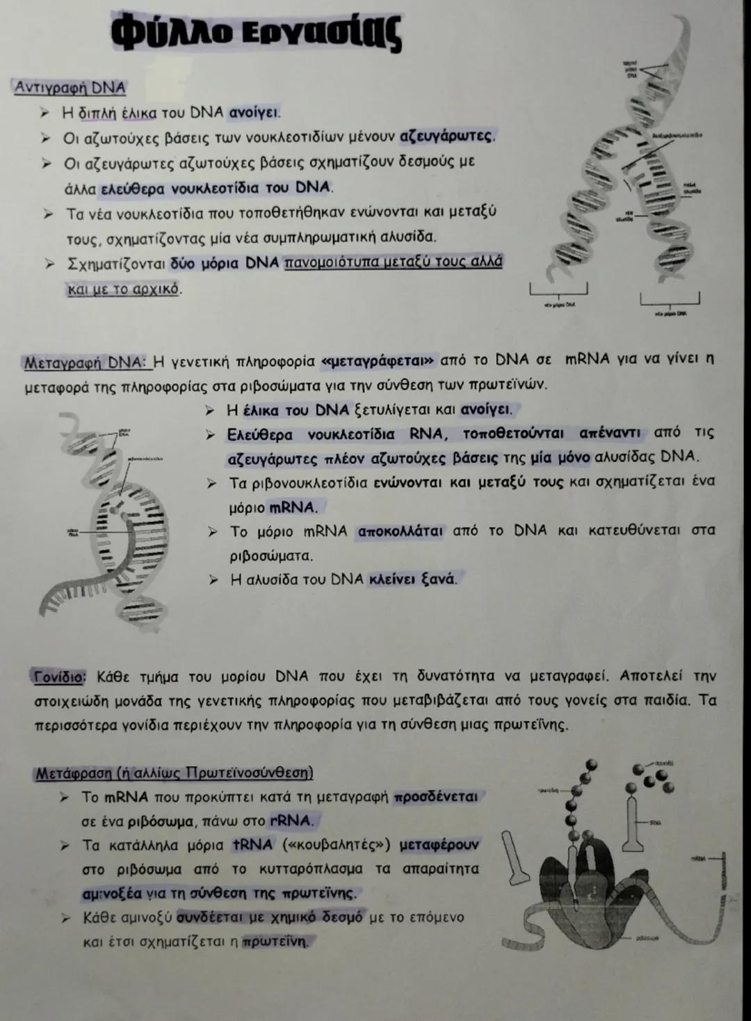 •Βιολογία Γ' γυμνασίου - Η ροή της γενετικής πληροφορίας•