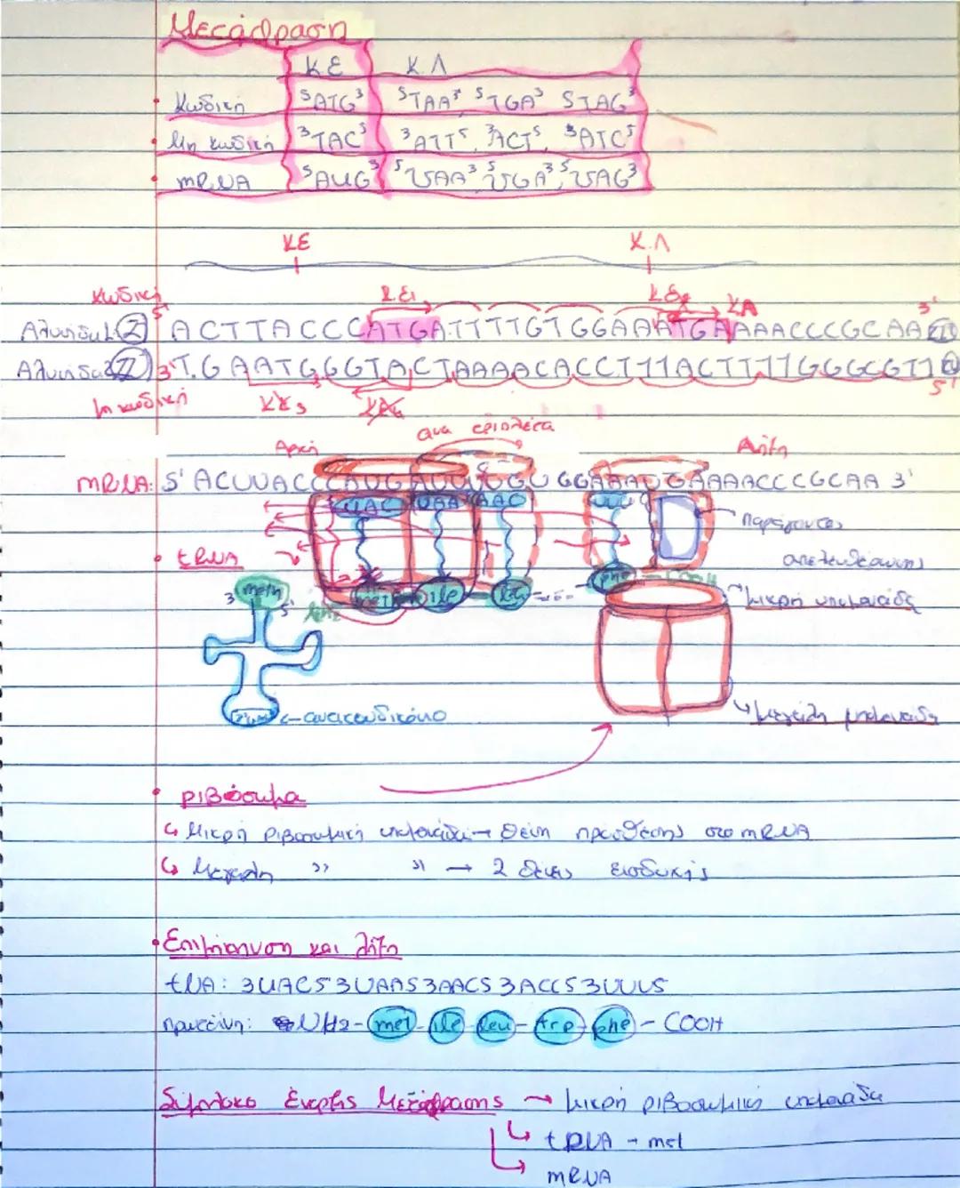 --- OCR Start ---
Κερ. 20 Ιβ' τειχος
Αντιγραφή
DUA
Κύκλος
Los
αντιγραφής
205
←
Ημισυνφριτικός
Tponos
Θ.Ε.Α: Θέσεις έναρξης Αντιγραφής
ΙΘΕΑ σ
