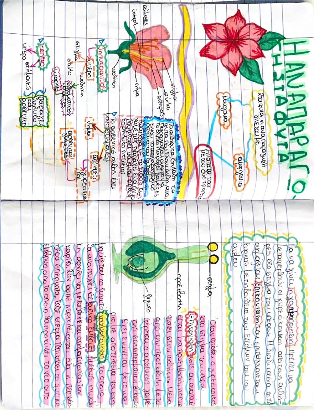 Η αναπαραγωγή στα φυτά