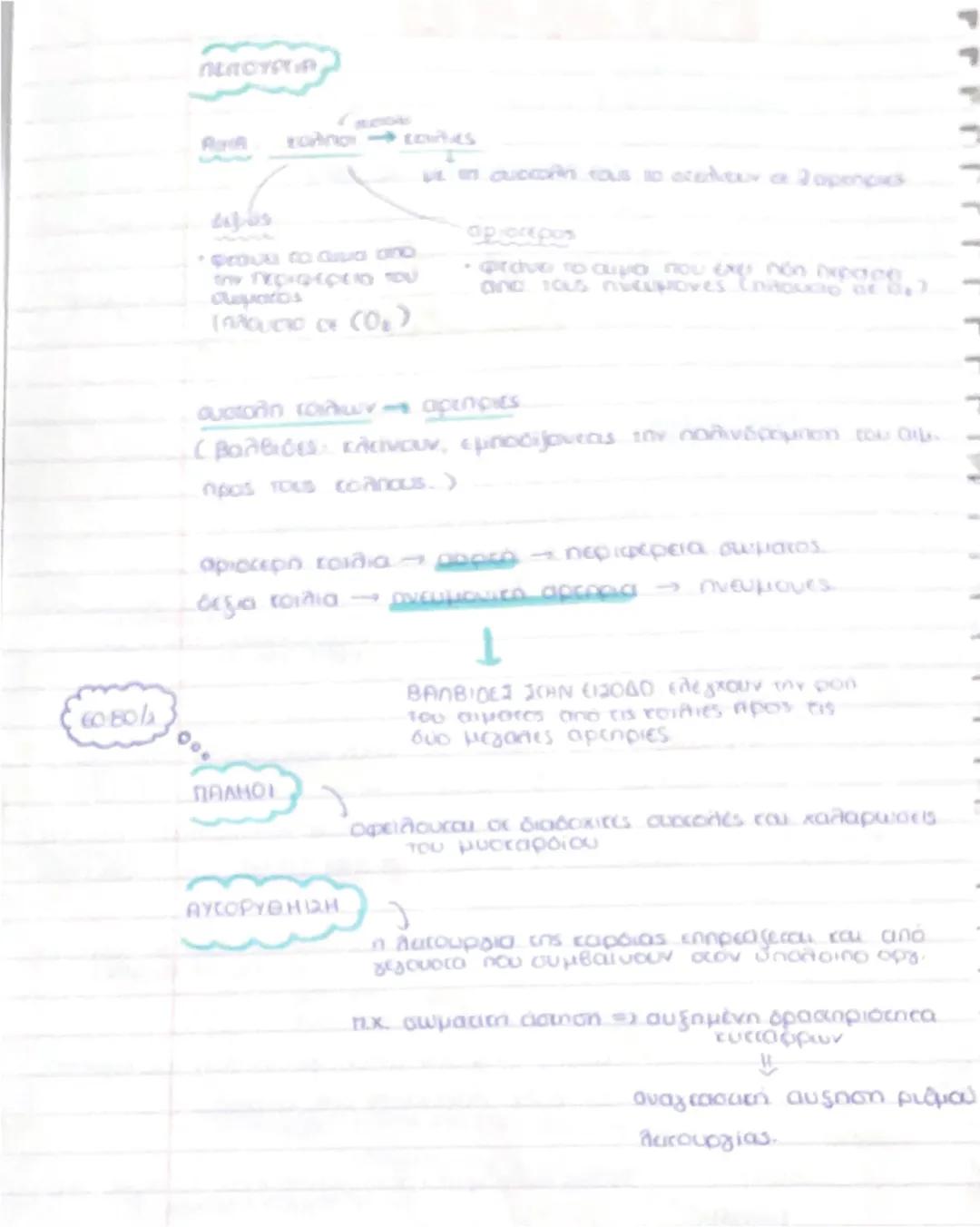 --- OCR Start ---
L
BIOLOGY
Κεφάλαιο 3 κυκλοφορικό σύστημα.
Ρόλος
ΚΥΚΛΟΦΟΡΙΚΟ ΣΥΣΤΗΜΑ
μεταφορά των θρεπτικών
ουσών στα κύτταρα των
ιστών
aπο