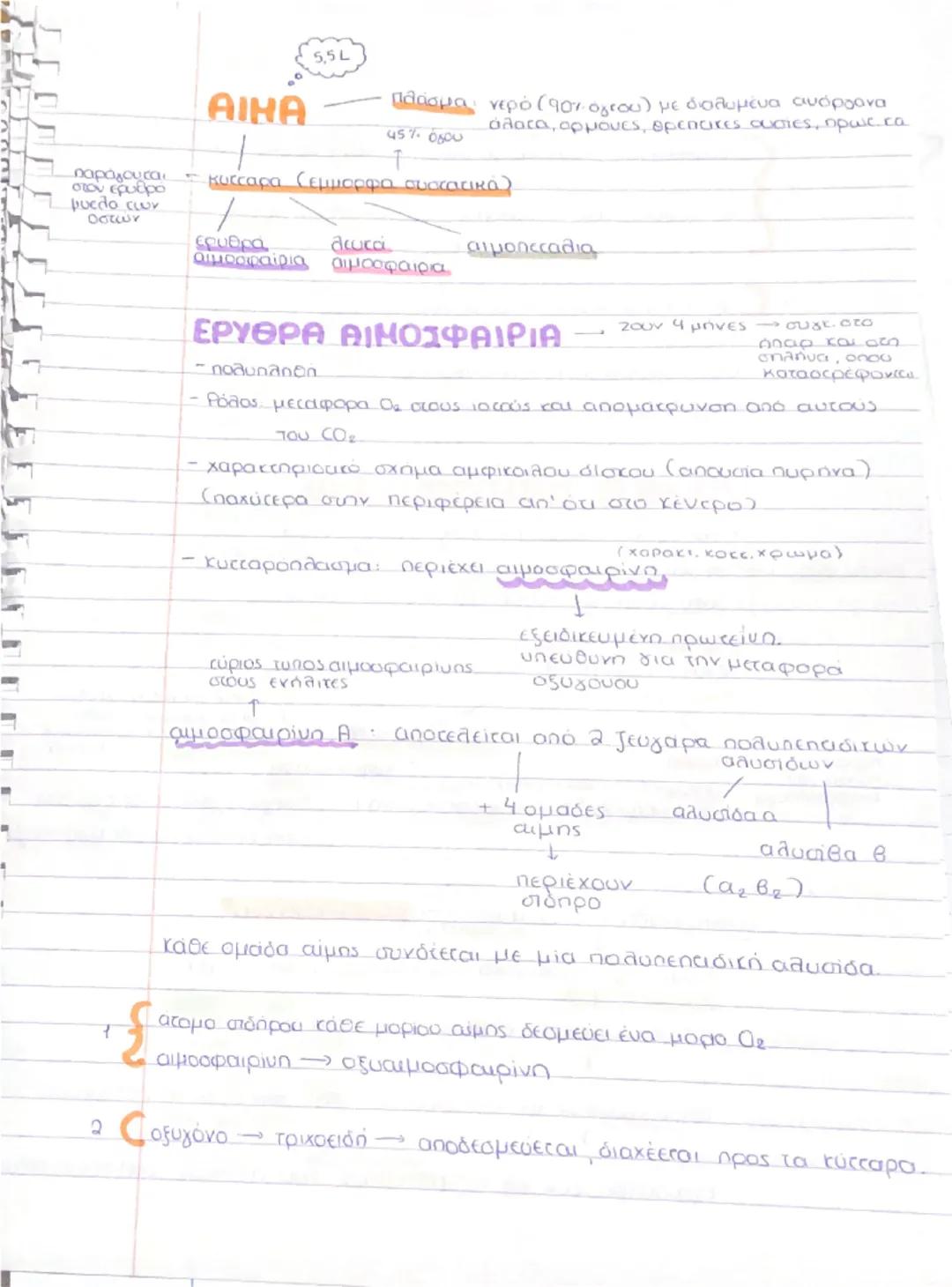 --- OCR Start ---
L
BIOLOGY
Κεφάλαιο 3 κυκλοφορικό σύστημα.
Ρόλος
ΚΥΚΛΟΦΟΡΙΚΟ ΣΥΣΤΗΜΑ
μεταφορά των θρεπτικών
ουσών στα κύτταρα των
ιστών
aπο