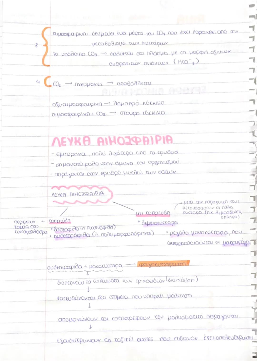 --- OCR Start ---
L
BIOLOGY
Κεφάλαιο 3 κυκλοφορικό σύστημα.
Ρόλος
ΚΥΚΛΟΦΟΡΙΚΟ ΣΥΣΤΗΜΑ
μεταφορά των θρεπτικών
ουσών στα κύτταρα των
ιστών
aπο