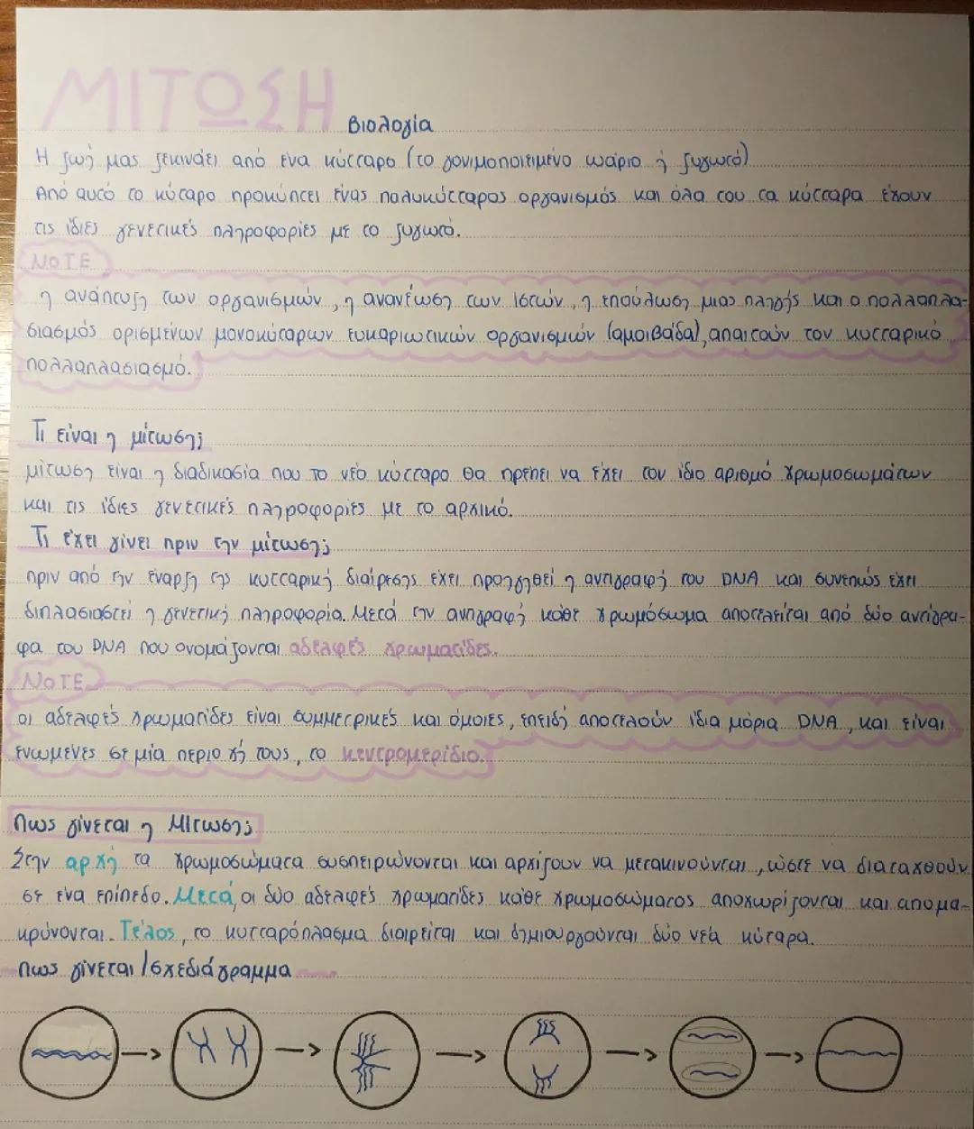 Βιολογία Μίτωση