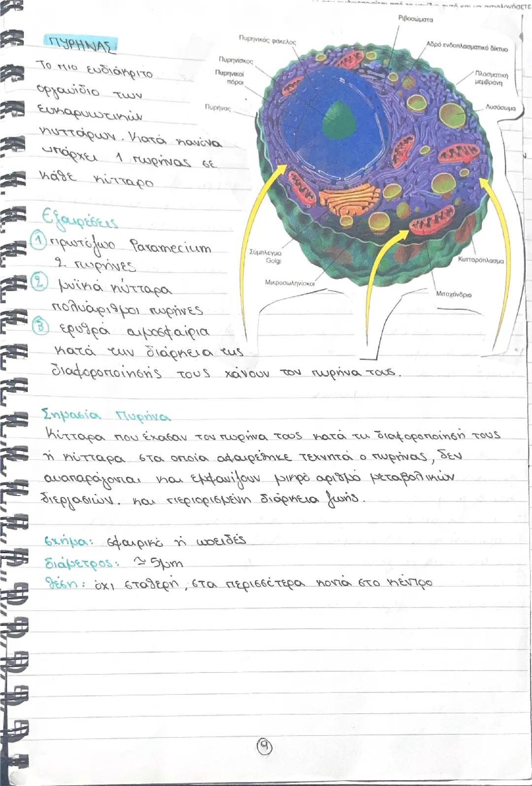 Τεύχος Α βιολογία Γ λυκείου