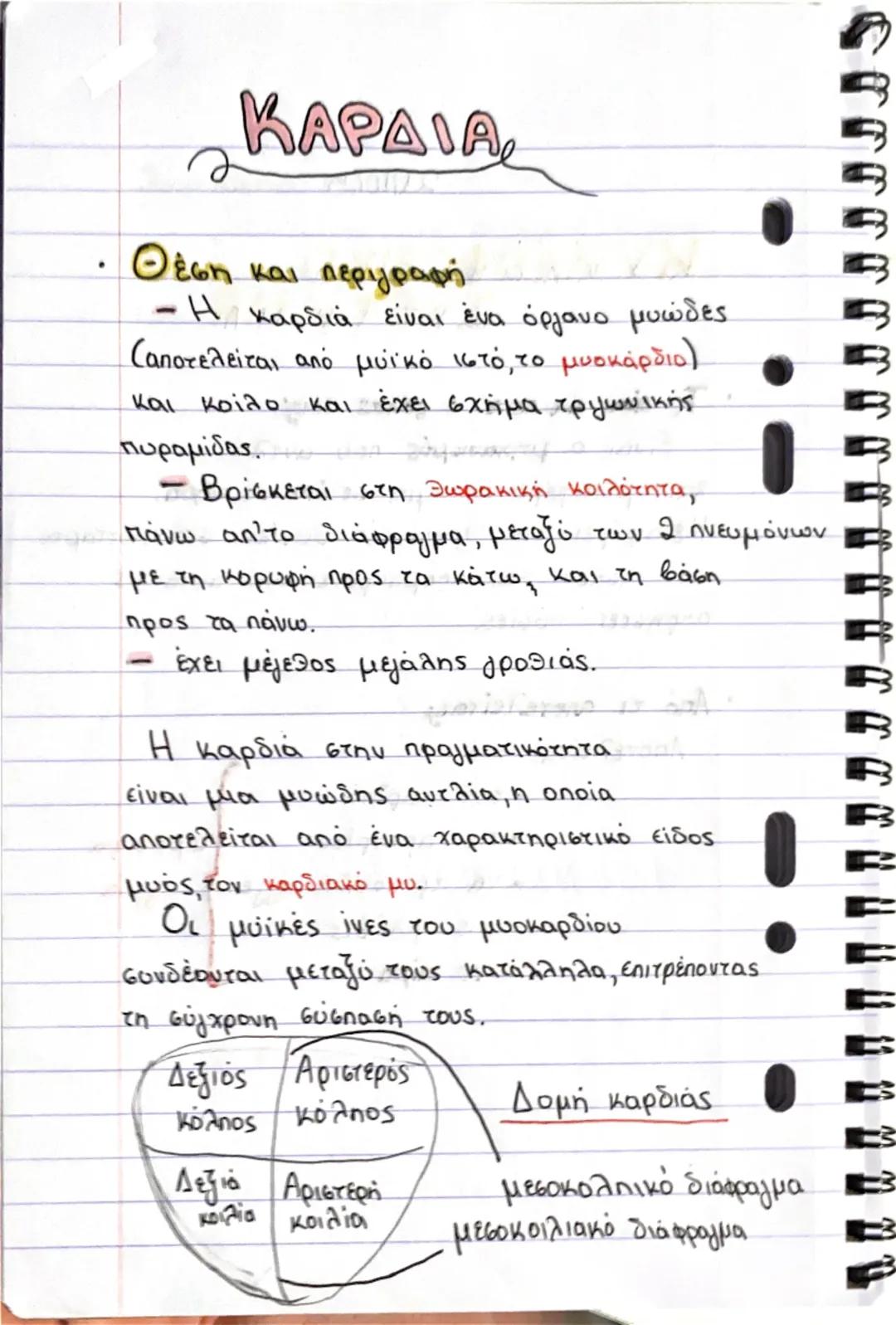 Α λυκείου , βιολογία (καρδιά)