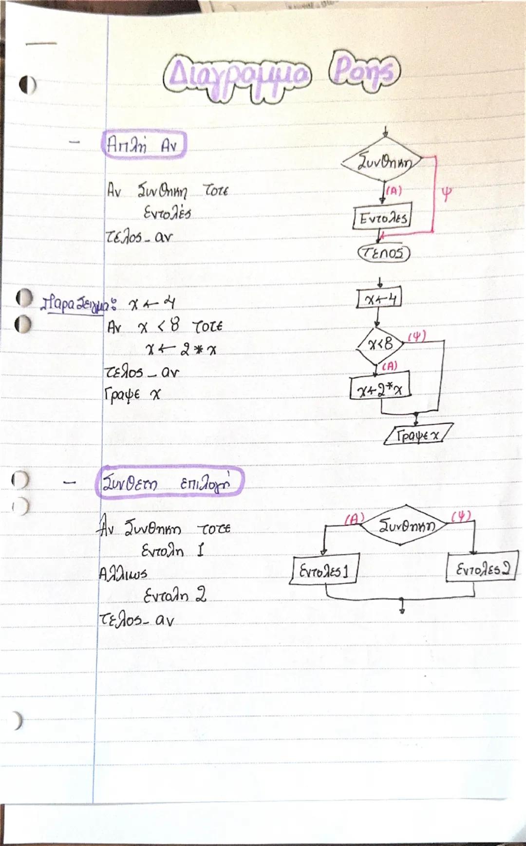 Διάγραμμα ροής πληροφορικής
