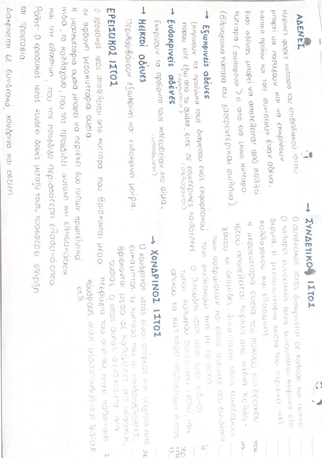 to
ΔΙΑΦΟΡΟΠΟΙΗΣΗ
Τα κύτταρα του ανθρώπινου
οργανισμού προέρχονται από
ένα αρχικό κύτταρο, το ζυγωτό,
και με αλλεπάληλες μιζωτικές
διαιρέσει