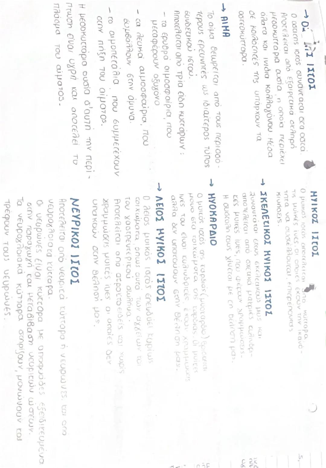 to
ΔΙΑΦΟΡΟΠΟΙΗΣΗ
Τα κύτταρα του ανθρώπινου
οργανισμού προέρχονται από
ένα αρχικό κύτταρο, το ζυγωτό,
και με αλλεπάληλες μιζωτικές
διαιρέσει