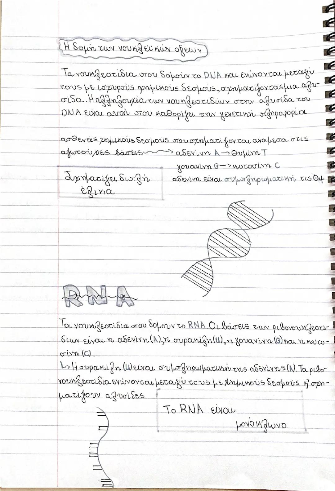 Βιολογία Γ γυμνασίου