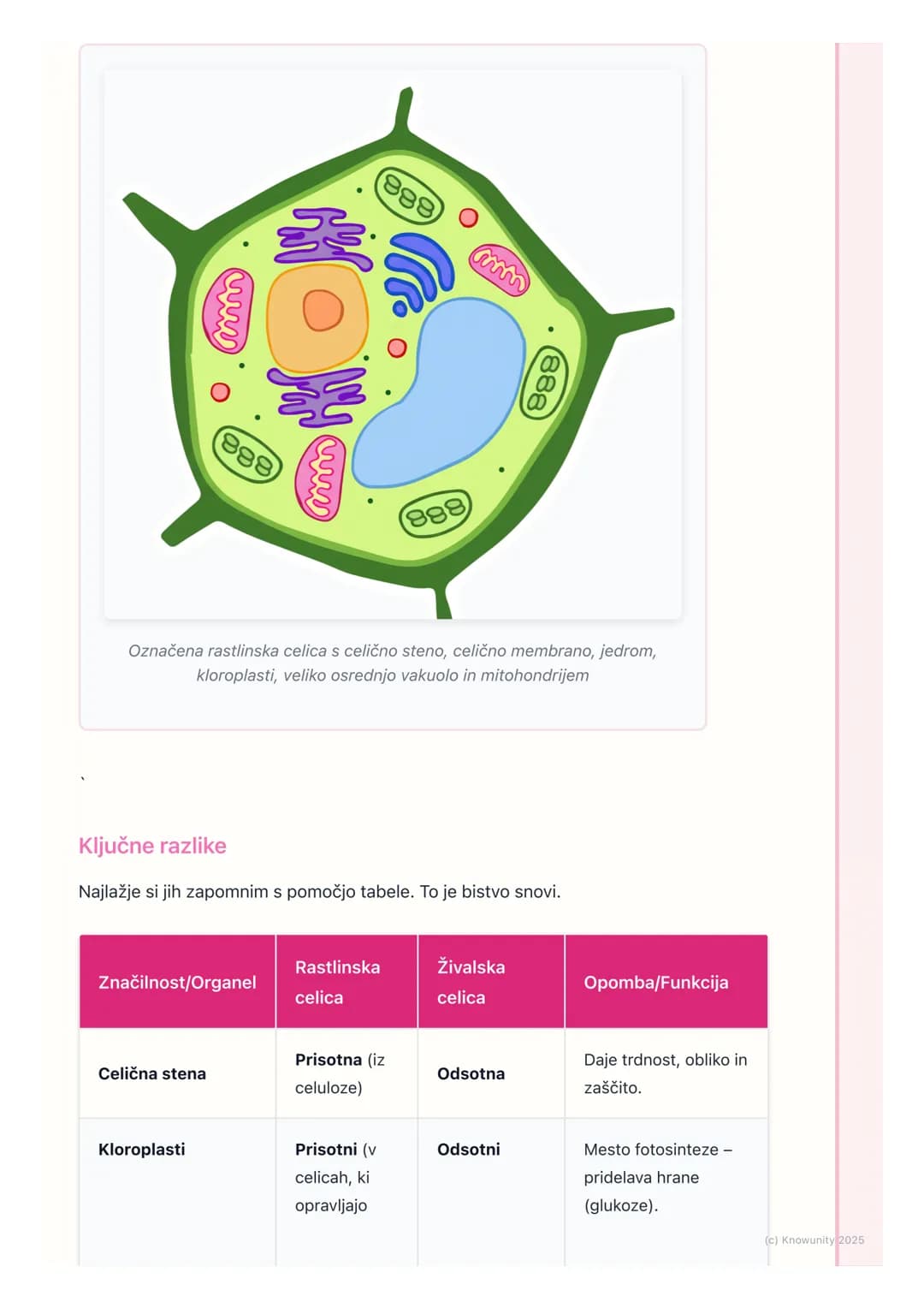 # Rastlinska in živalska celica
Splošna primerjava celic
Vse živali in rastline so zgrajene iz evkariontskih celic. To pomeni, da imajo
ce