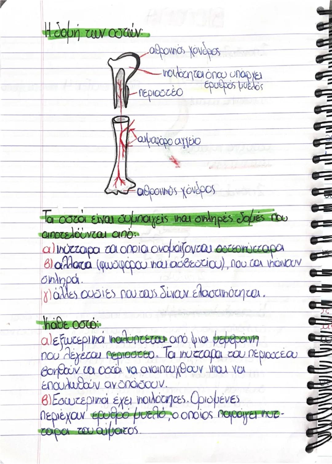 Βιολογία β γυμνασιου