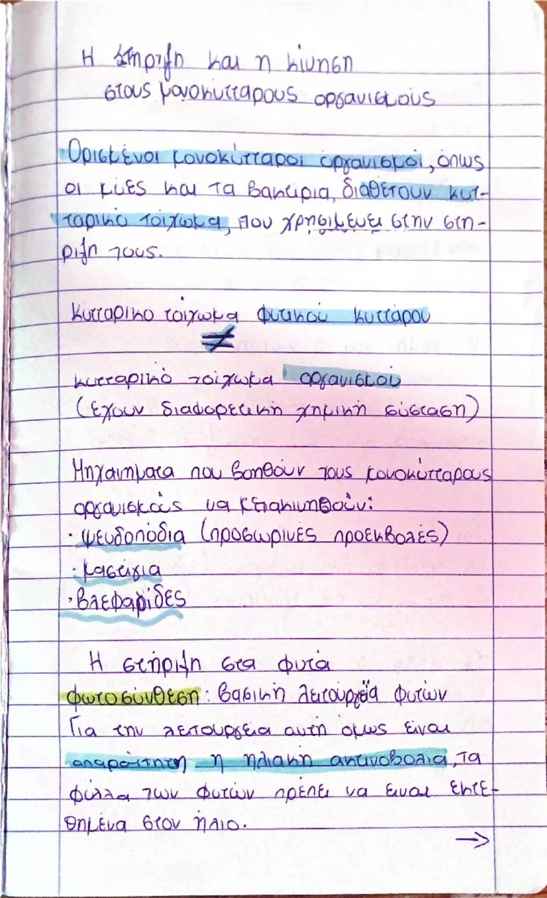 Στήριξη και κίνηση